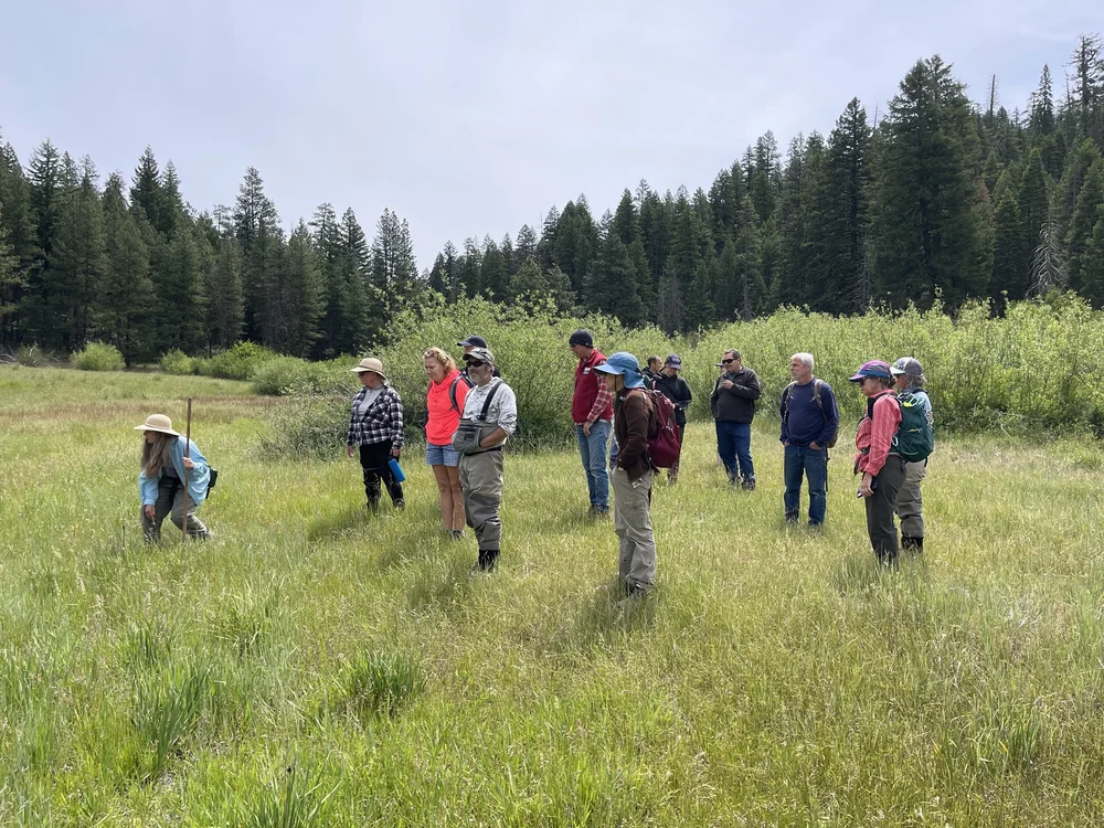   Photo credit: Sally Jeppson  