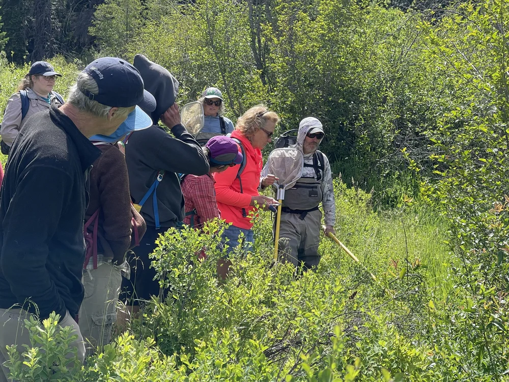   Photo credit: Sally Jeppson  