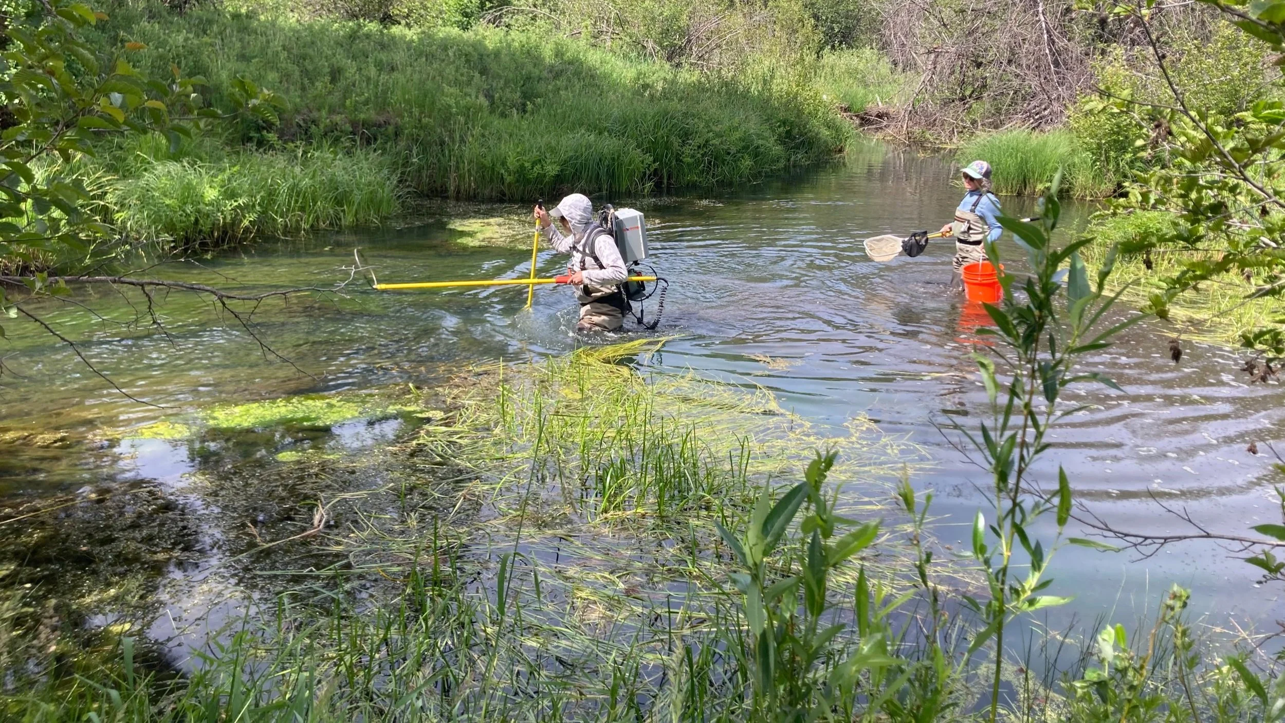 Aquatic Habitats &amp; Species of the Monument