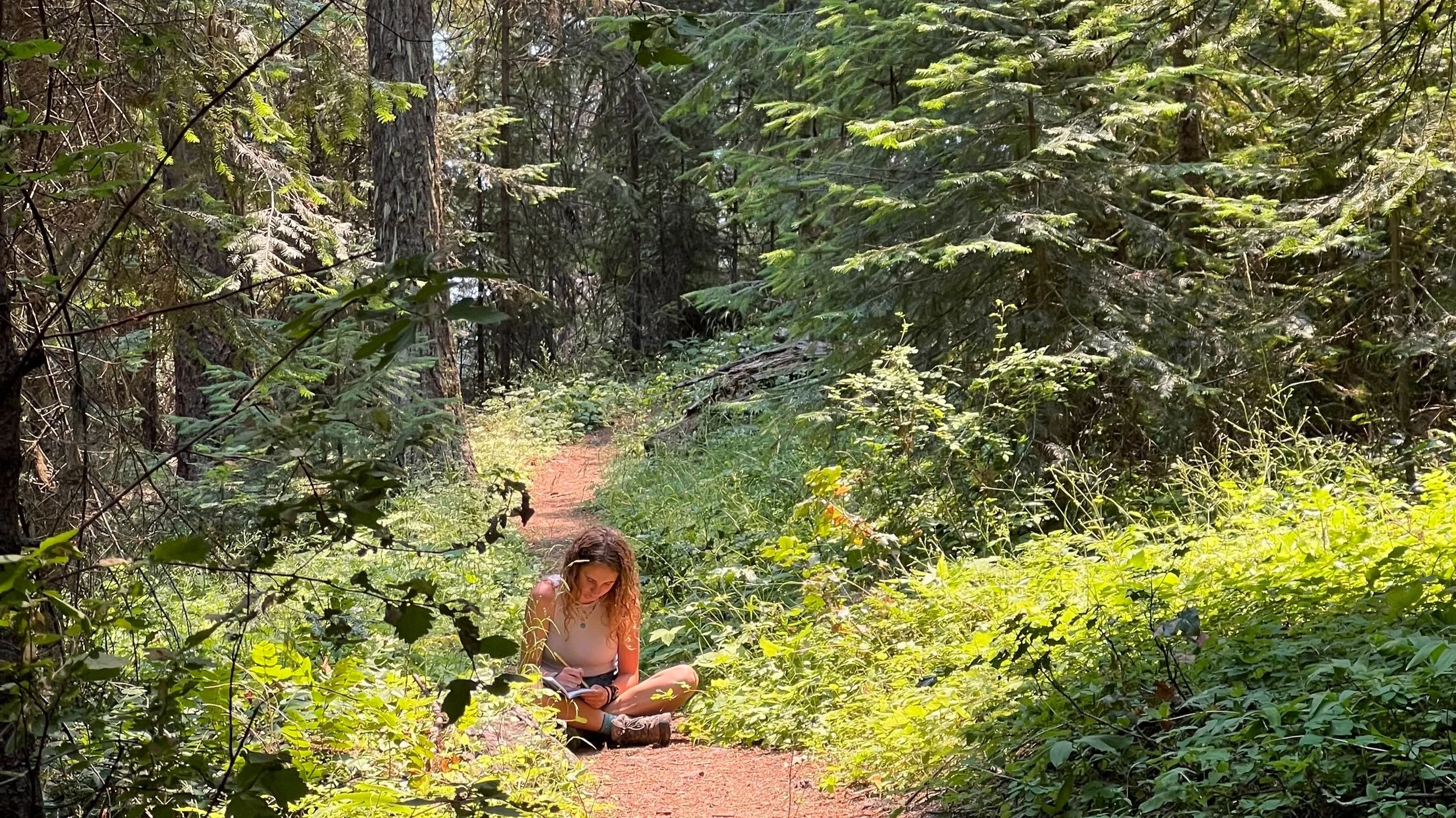 Summer Nature Journaling