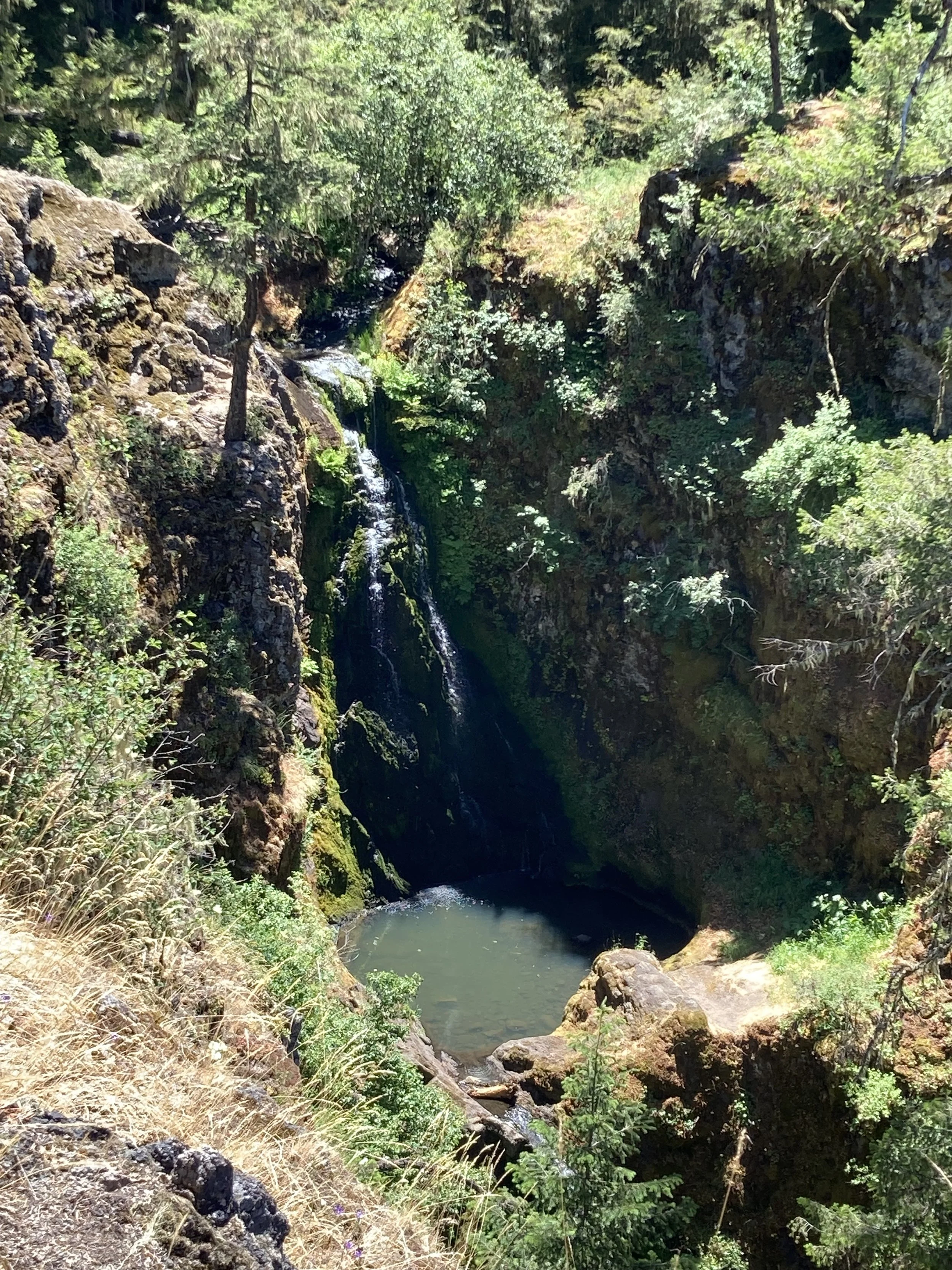  Photo credit: Val Rogers 