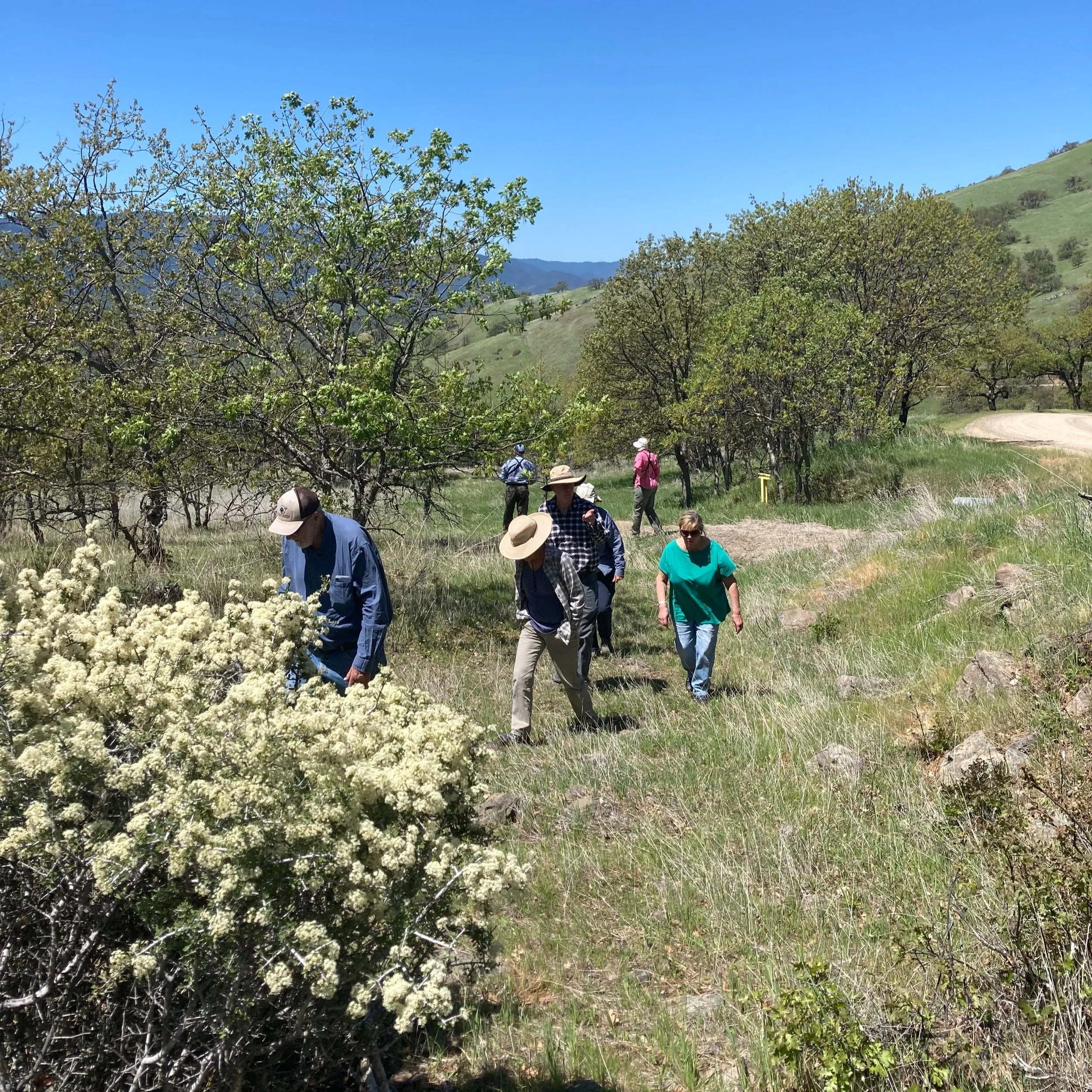  Walking directly along the path of the Applegate Trail!  