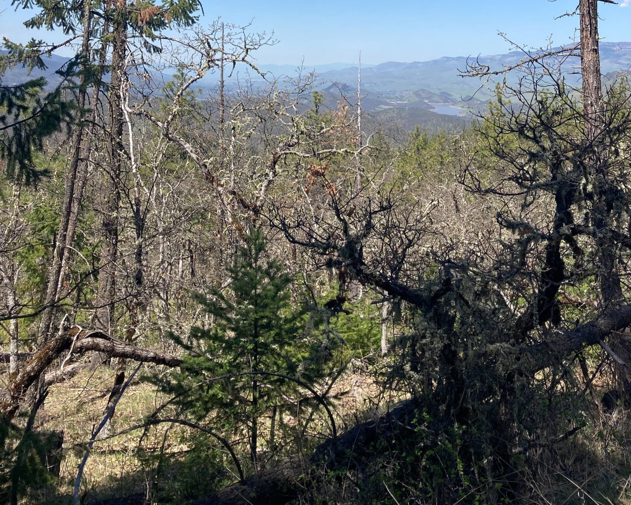   An example of densification observed along the trail.   