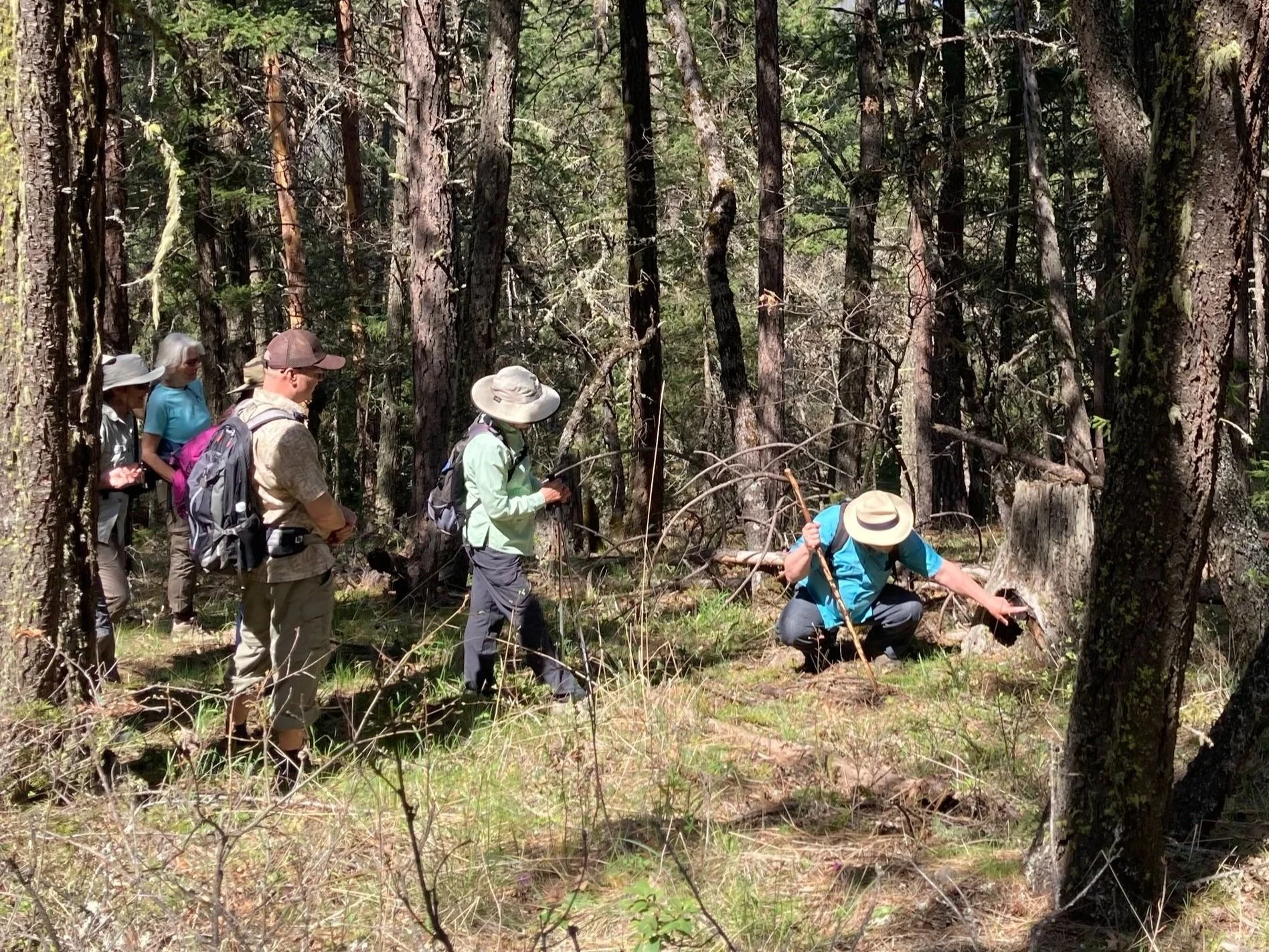   Rich pointing out the burn scars on an oak stump.  