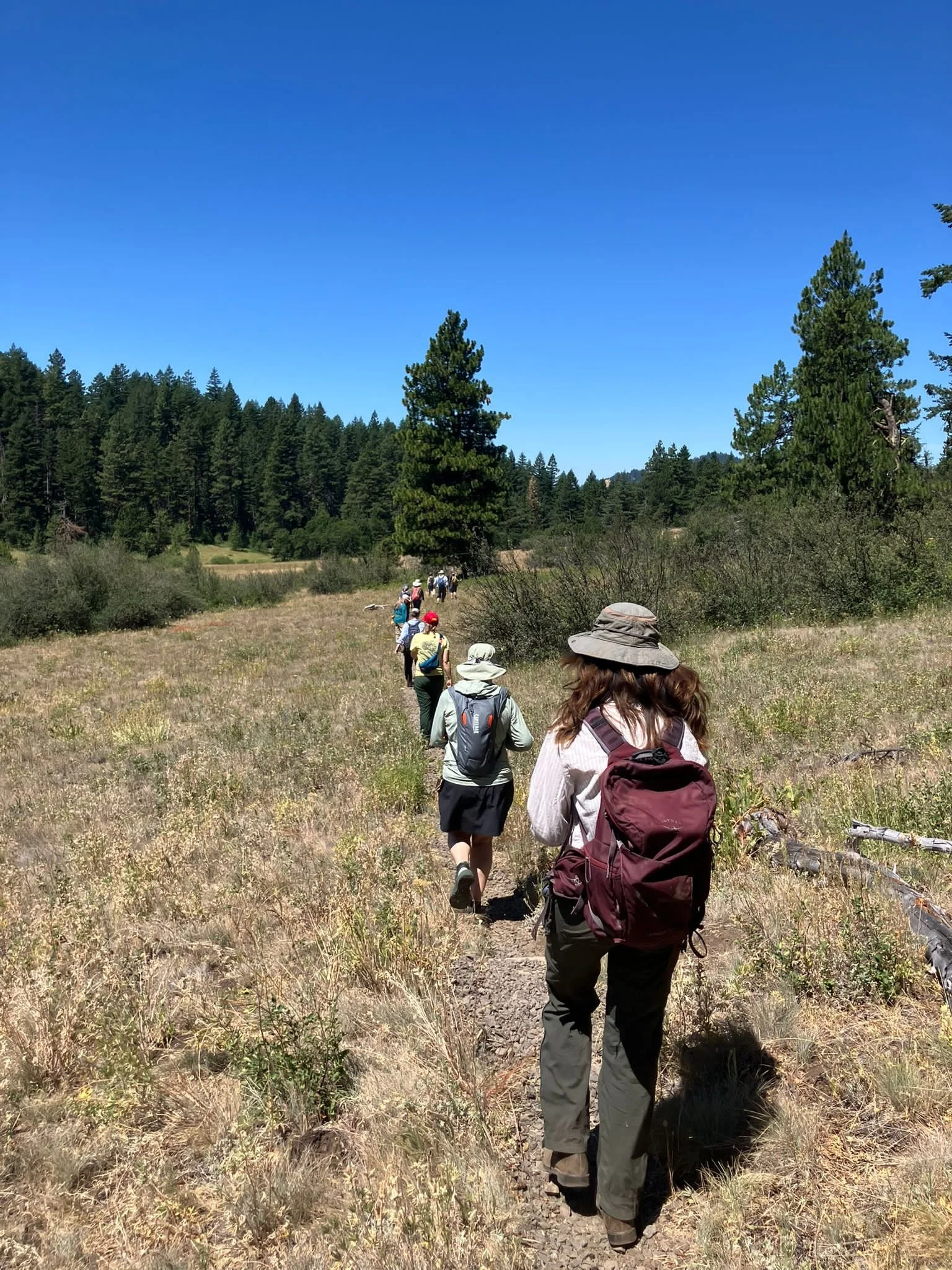 Hikers return to the trailhead, contemplating the vast uses for our native plants. - PC: Rianna Shiree. 