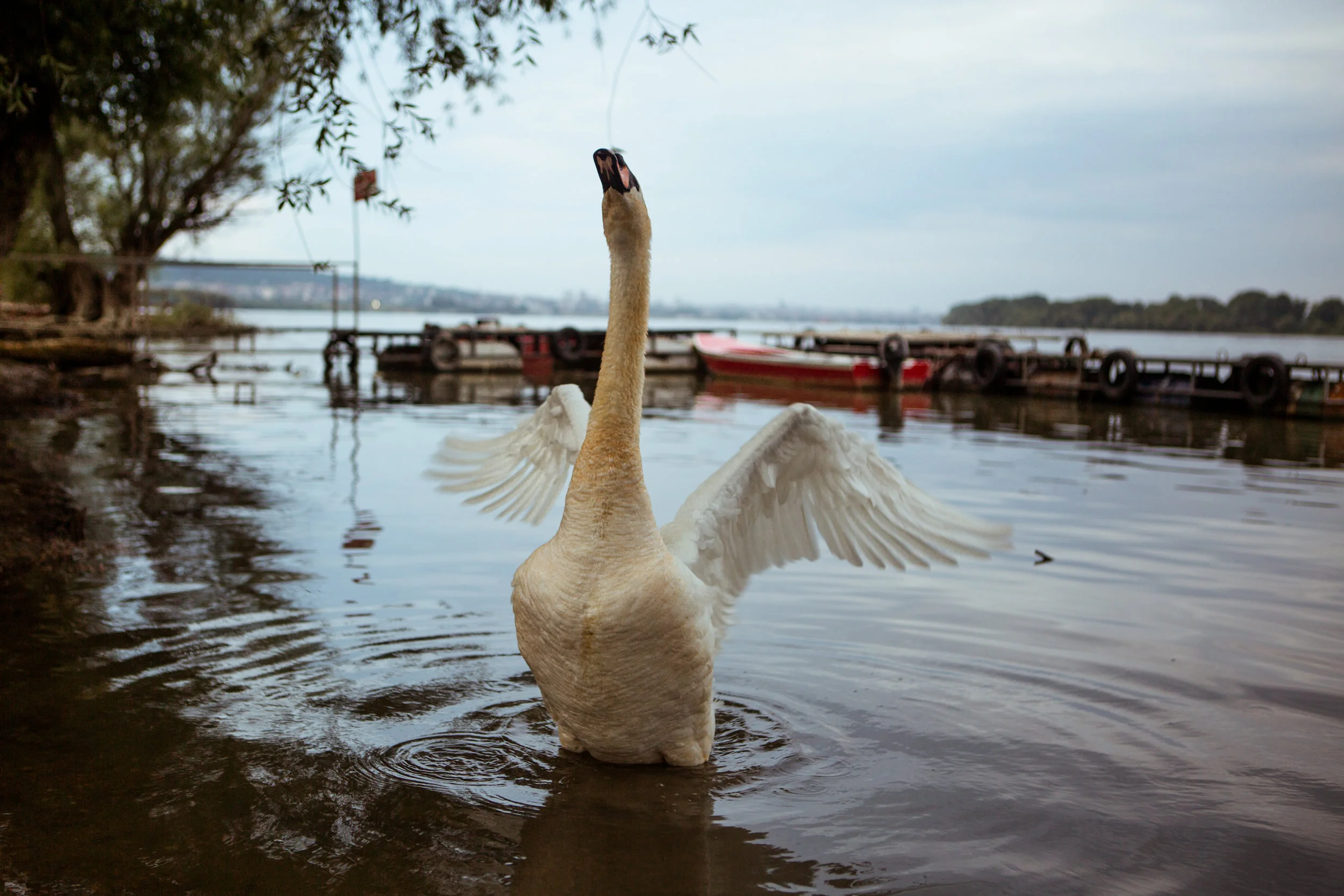 untitled-20.jpg