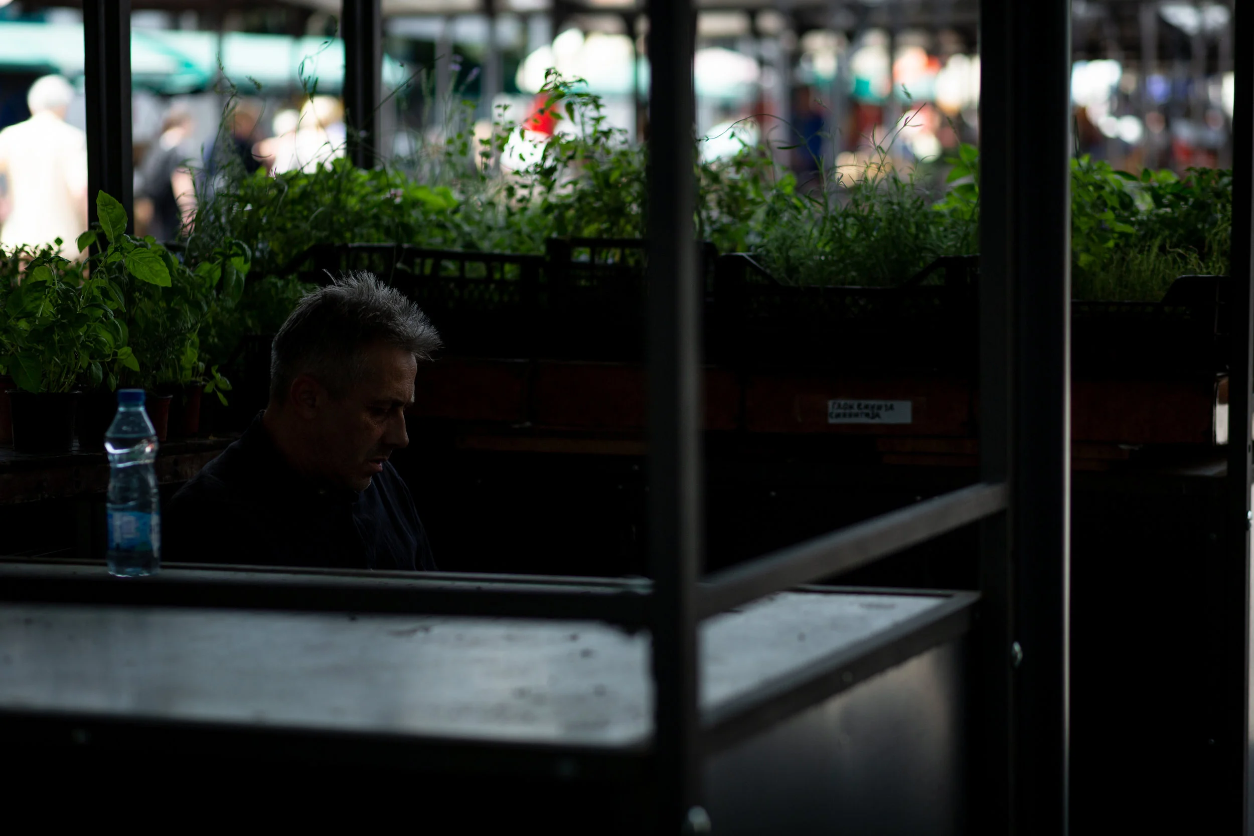 untitled-6.jpg