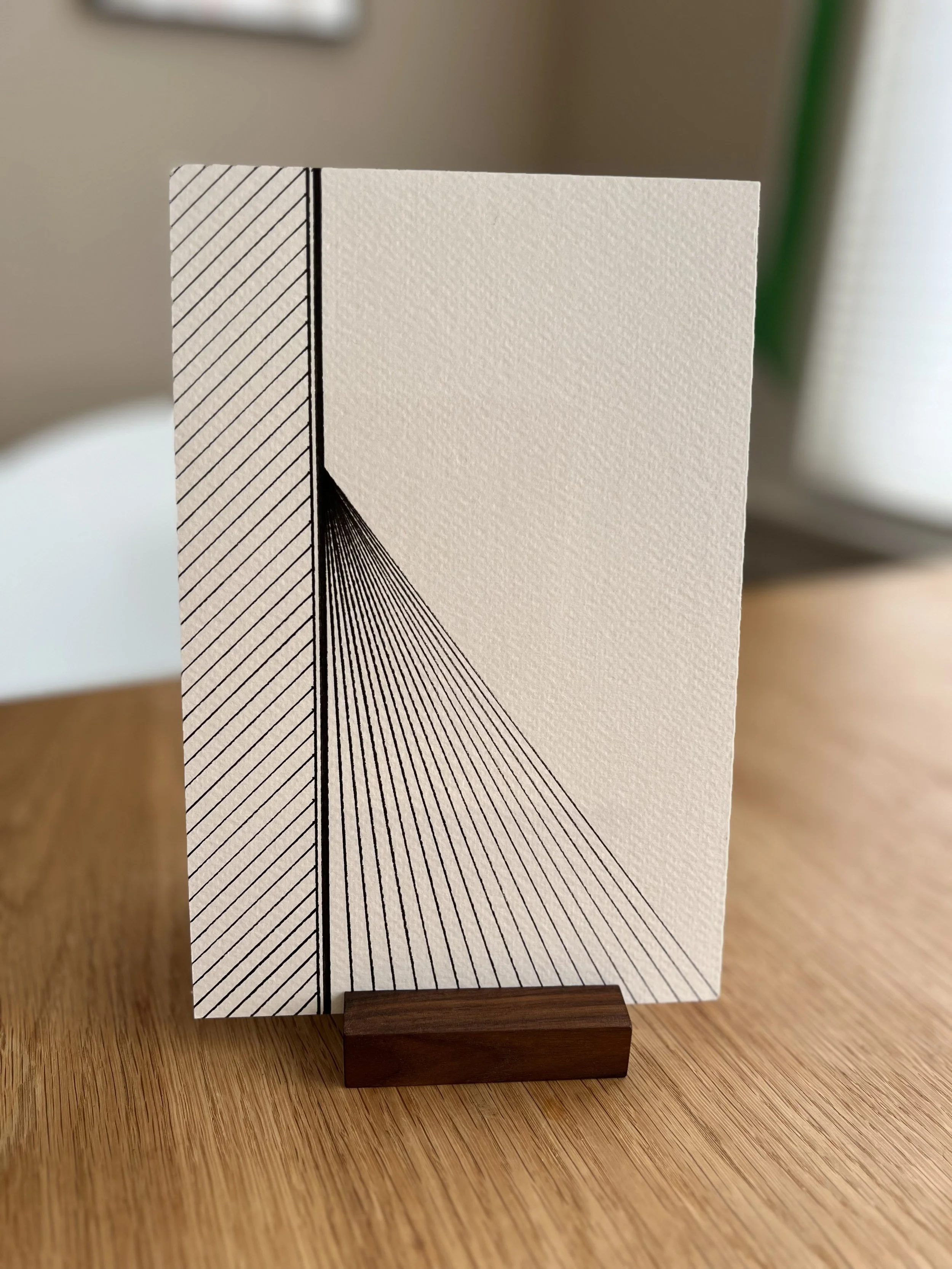 IMG_2039.jpg