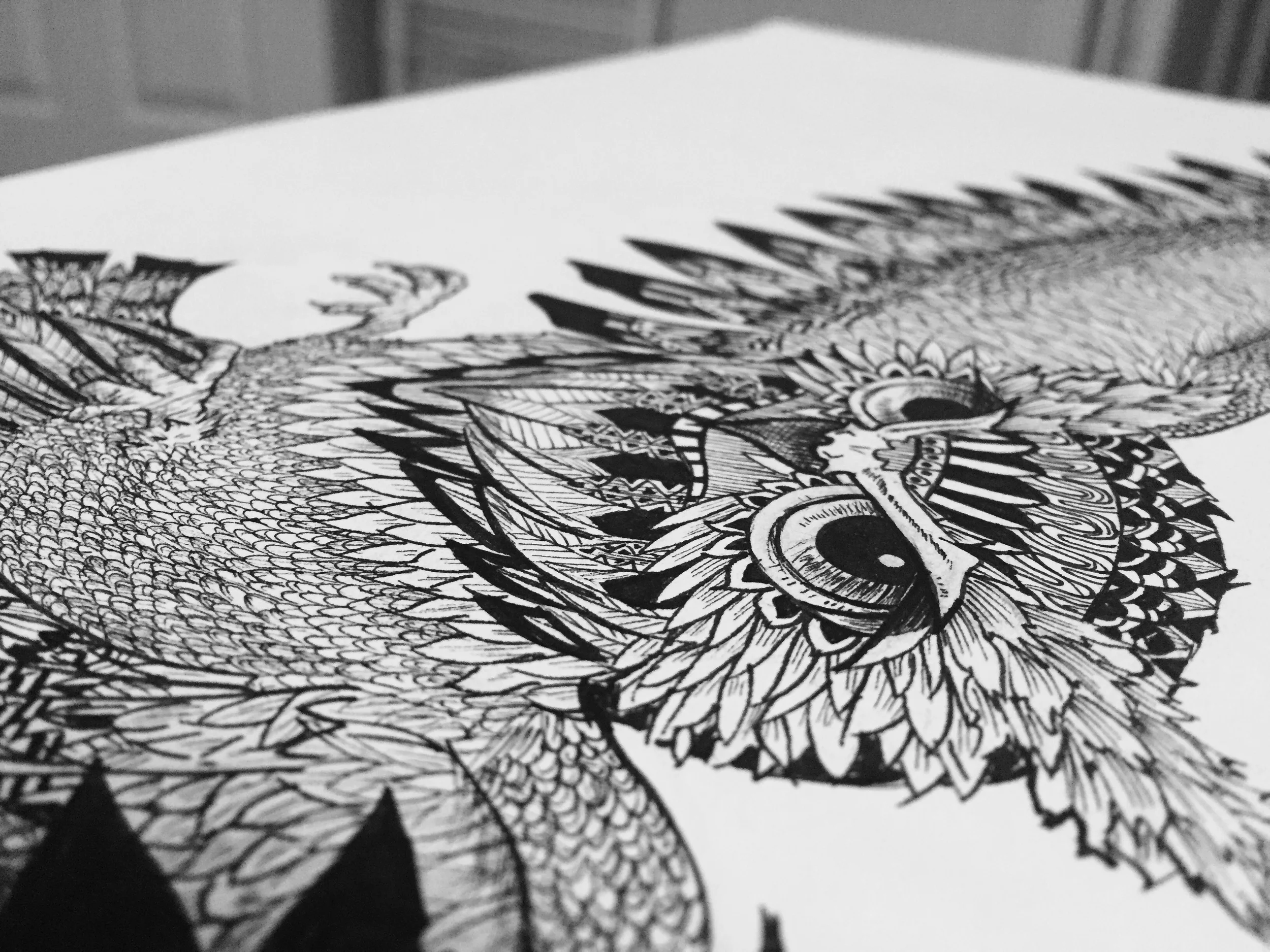 OwlDetail.jpg