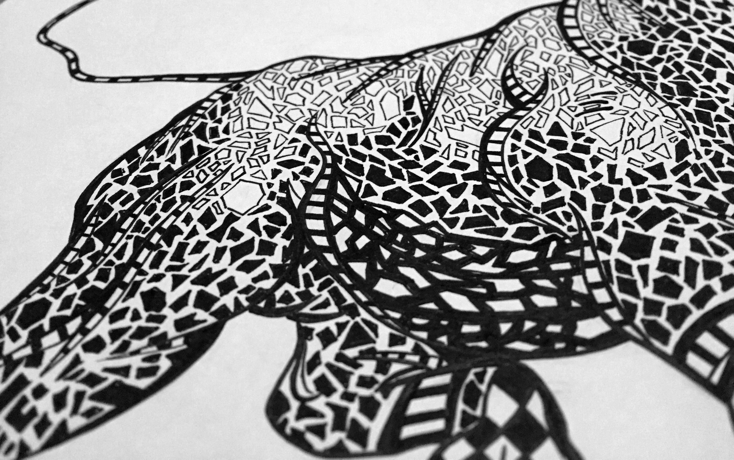 BullDetail.jpg