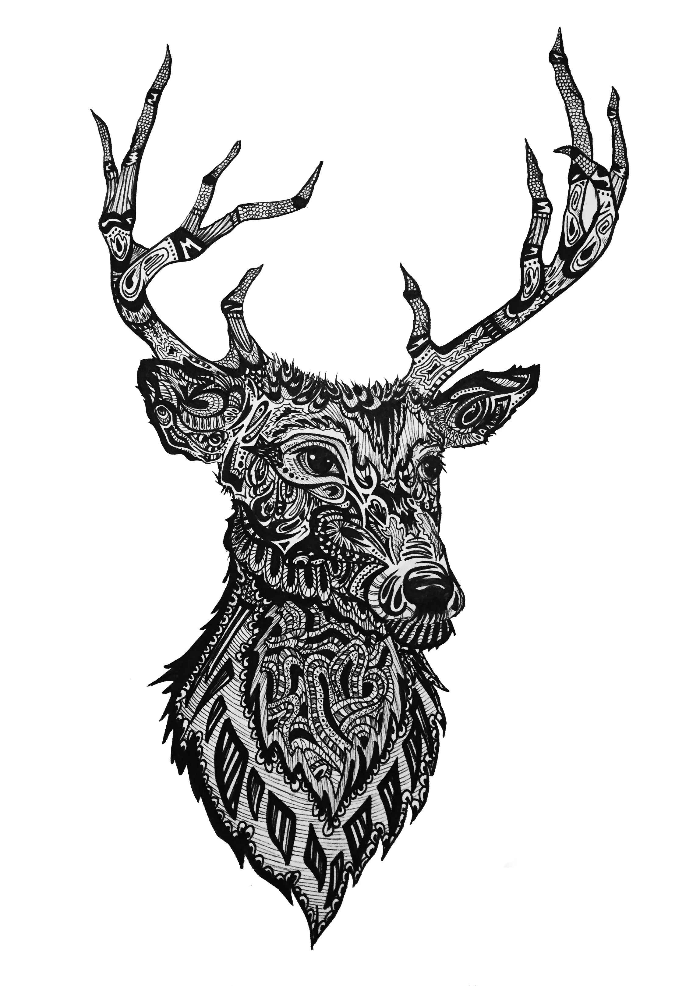 Red Deer; Inspired by the rolling hills of Dublin
