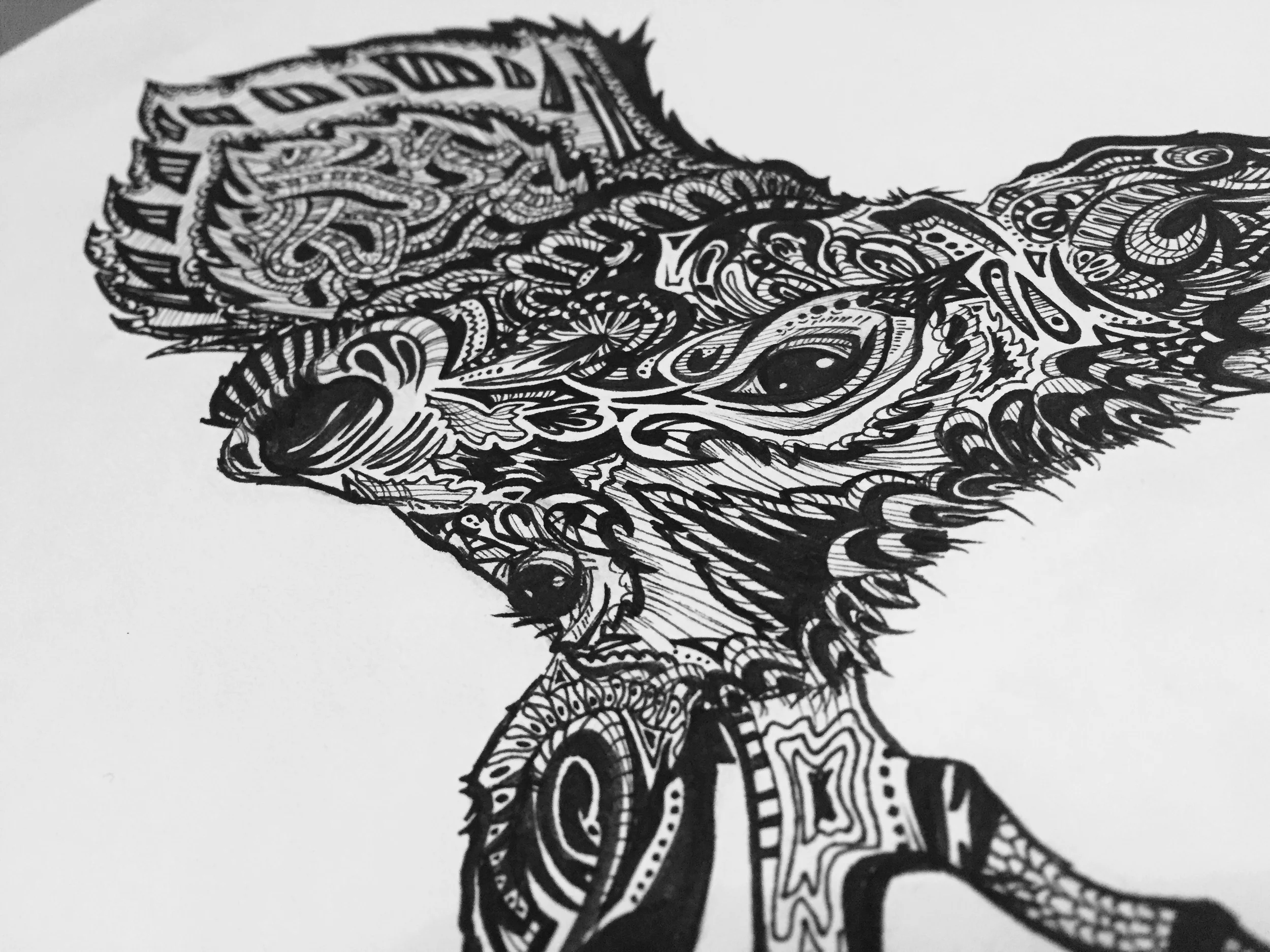 DeerDetail.jpg