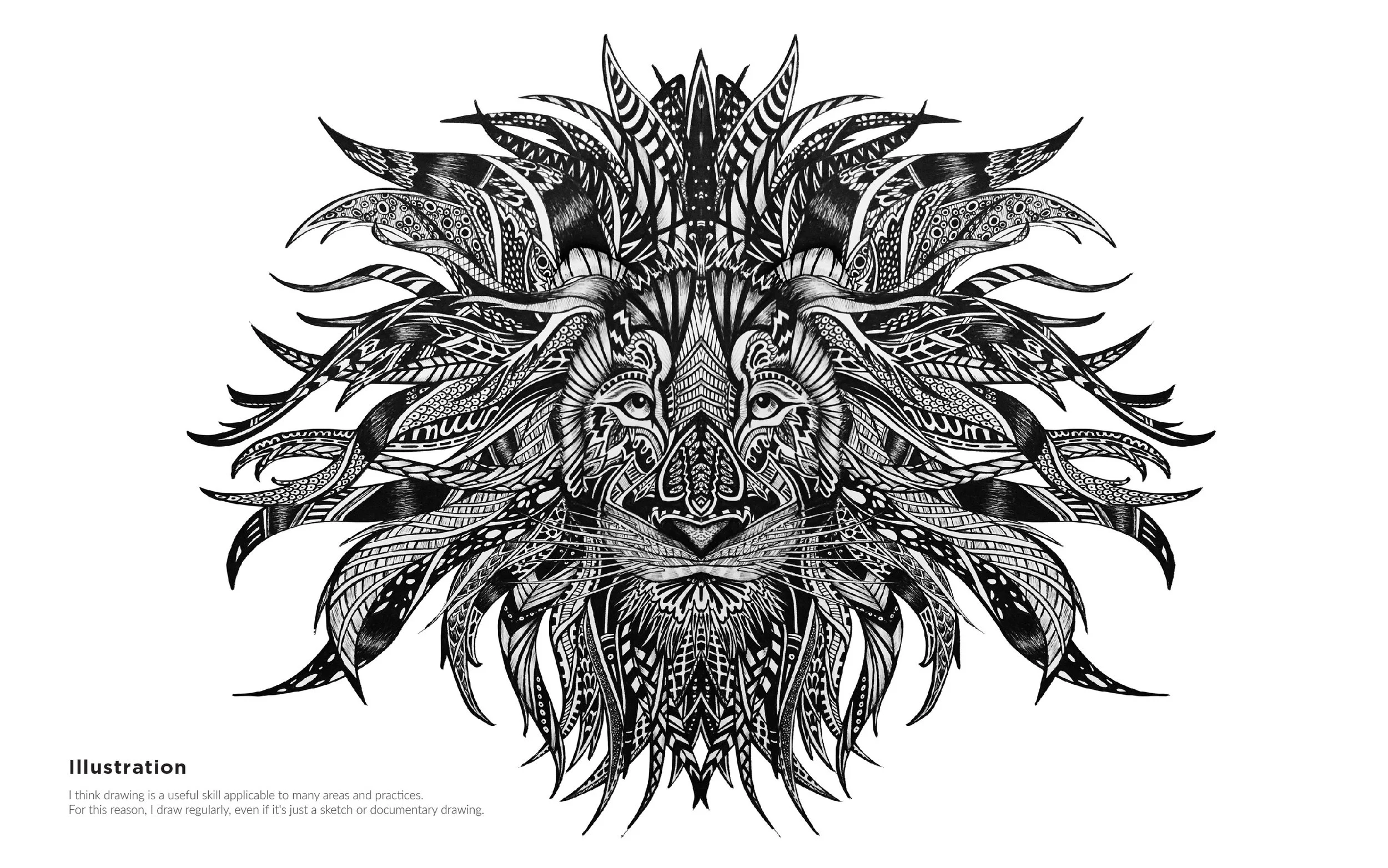 MelissaMorganPortfolio_Lion Illustration.jpg