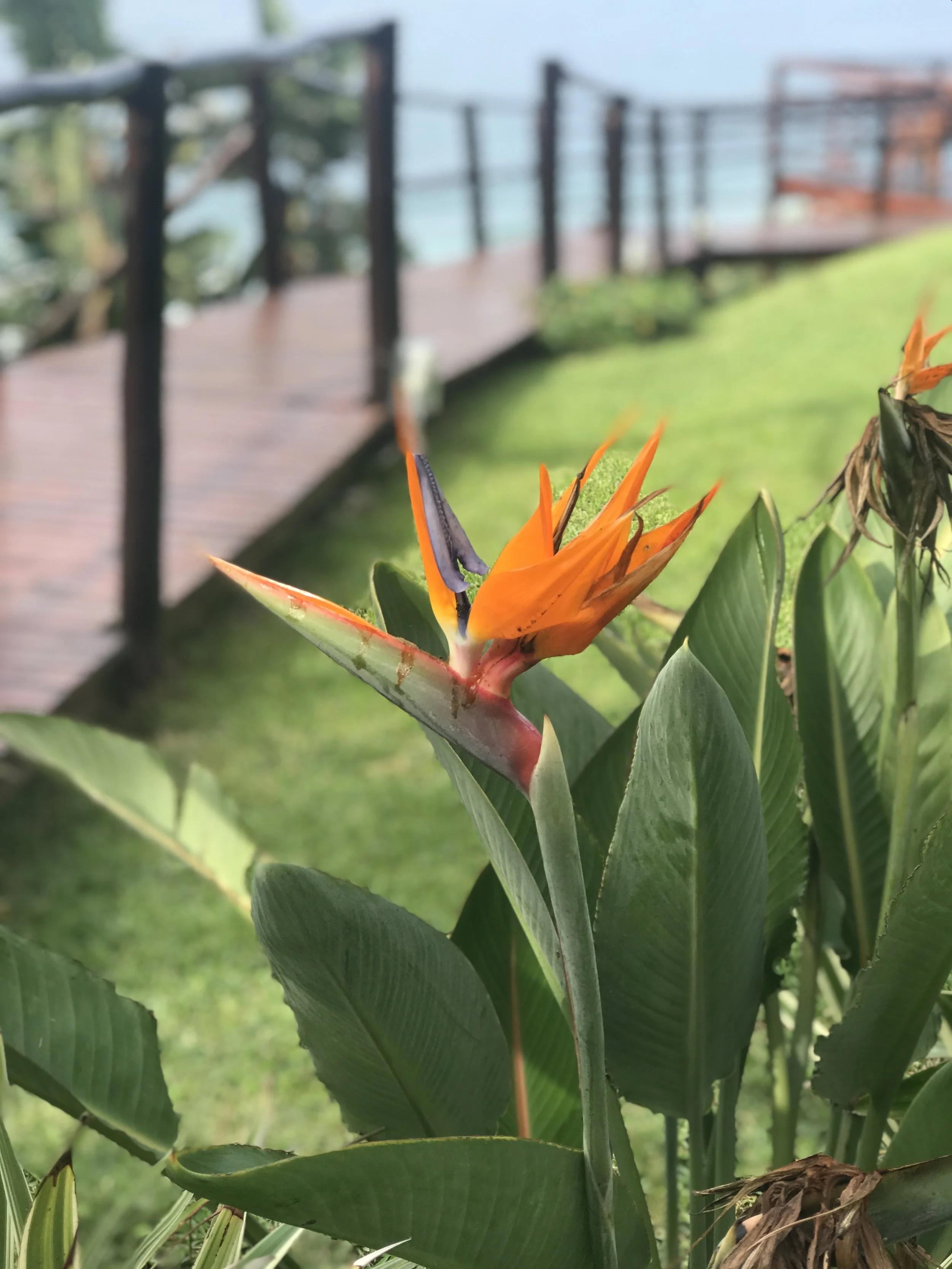 5 Things I Wish I Had Done To Stay Healthy While Traveling Abroad