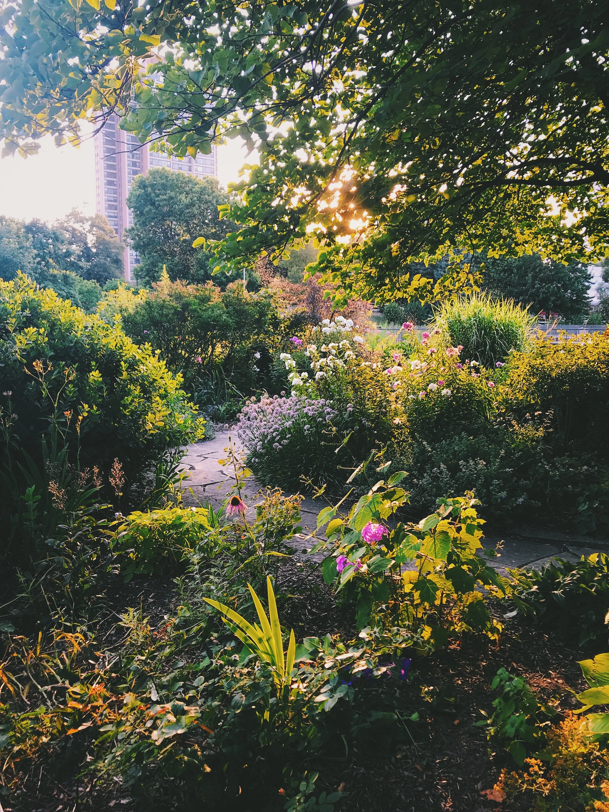 The #1 tool to keep you Zen for the Wed: Meditation