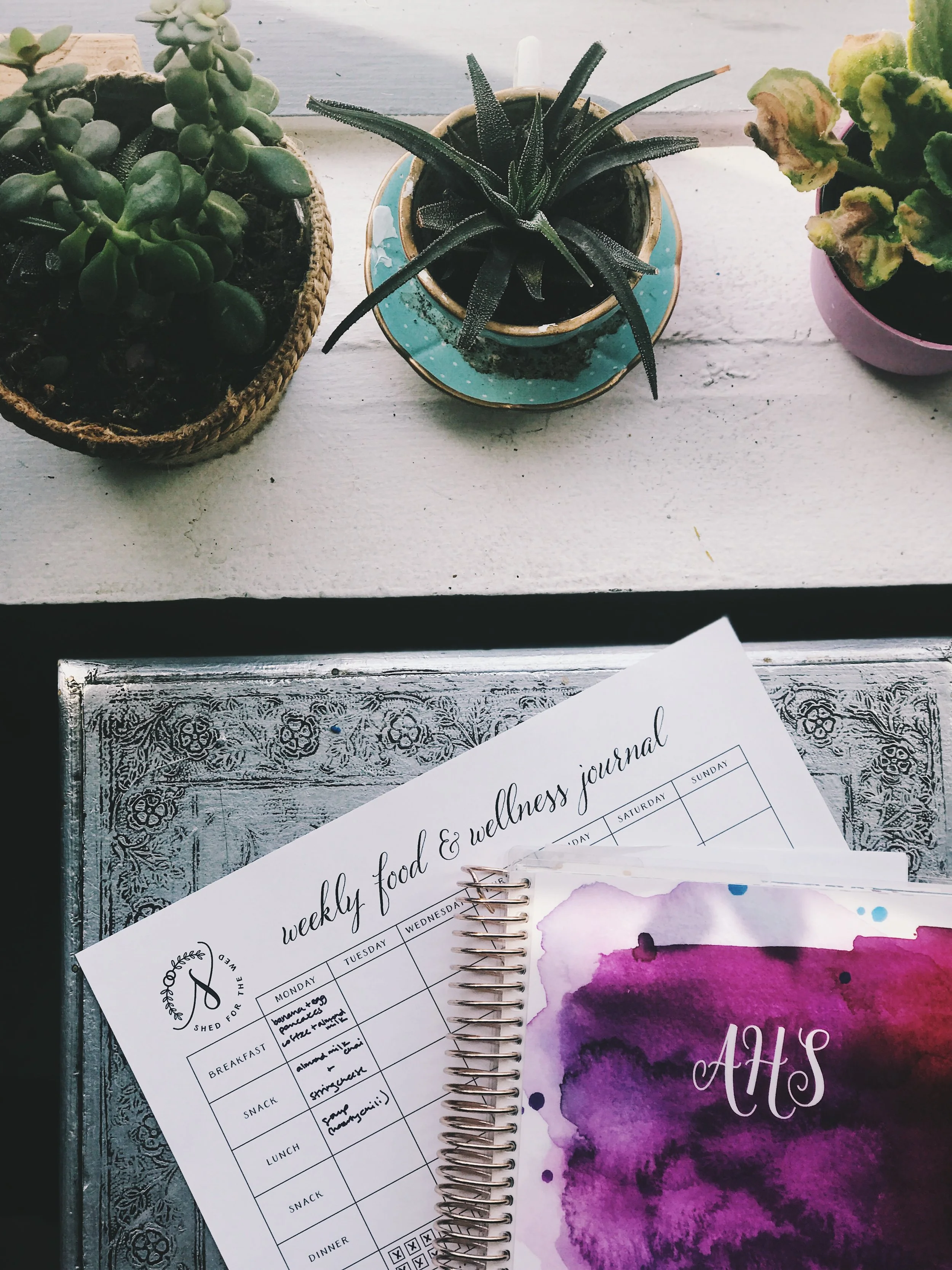 FREEBIE Alert! I'm giving away one of my favorite coaching tools for free! 