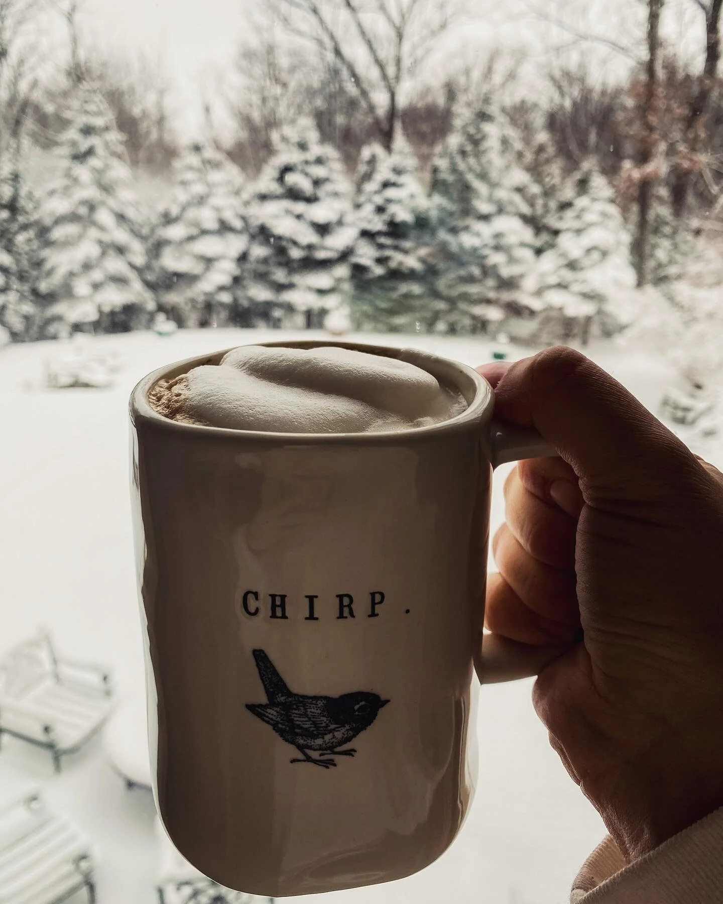 I&rsquo;m very thankful that this morning I woke up and it is Thursday bc it def feels like a Monday to me rn. We have been snowed in since the weekend and more is coming today! I can&rsquo;t get enough of the snow but we are actually getting sub zer