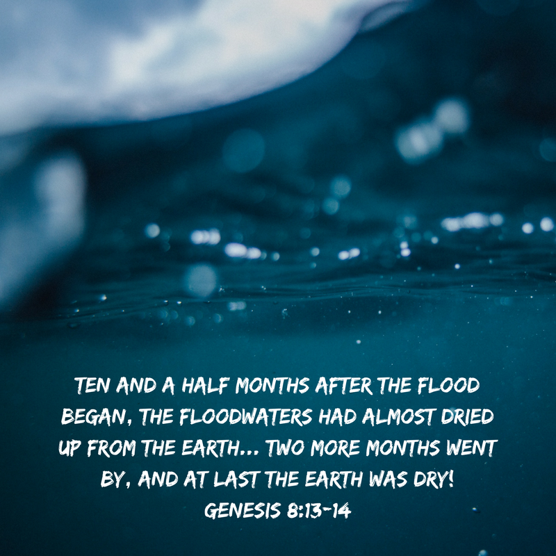 after the flood poem