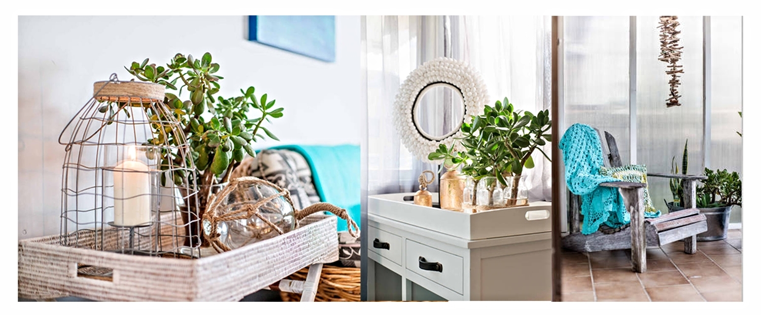 Contemporary Beach Styling