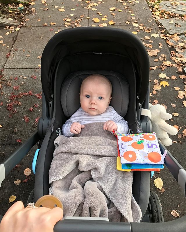 Fall strolls with my sugar baby. 🍂🍁🍂