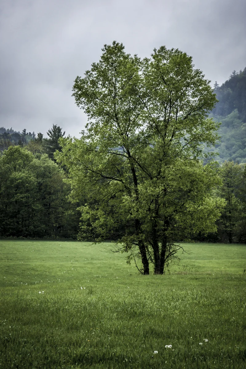 kalebhart-519fd7ca140be4a.jpg
