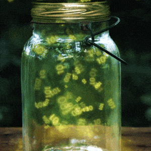 ACC_Fireflies_v6.gif