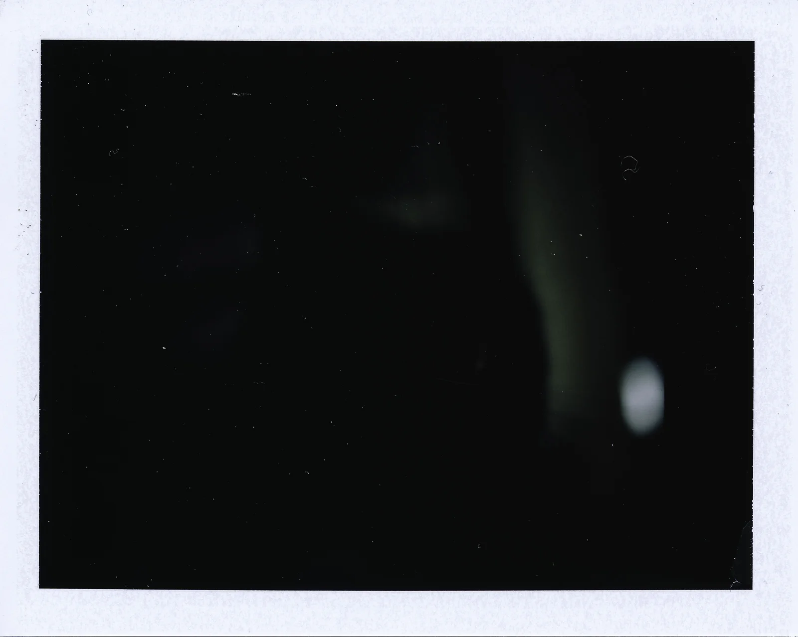 This one is a bit underexposed. It's the cat.