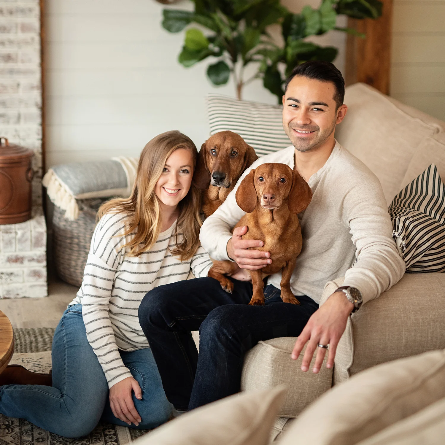 youmeandthedogs2.jpg