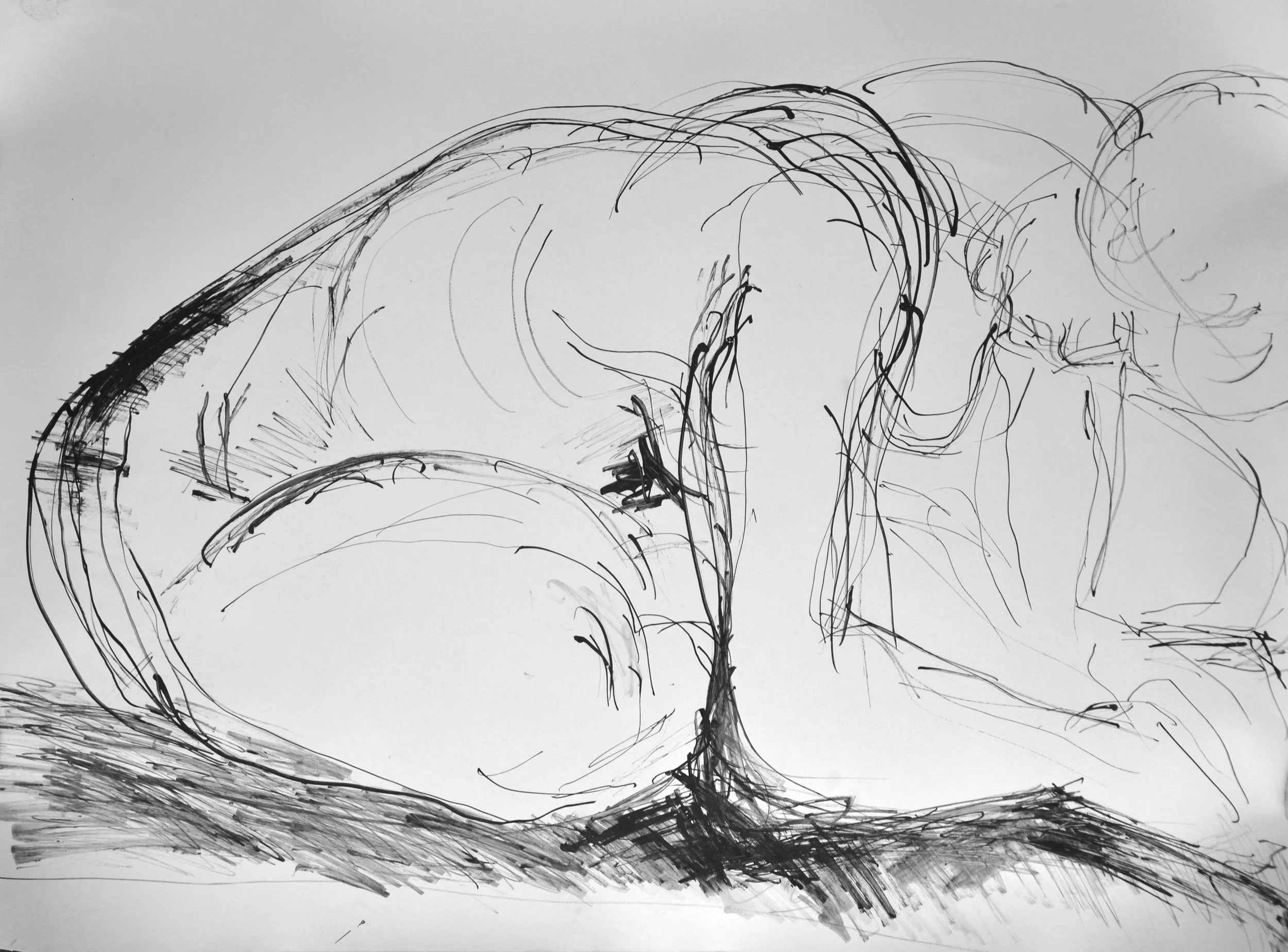 walzer_s_composition33.jpg