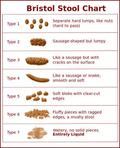 Type 4 is ideal, Type 3, 2 and 1 are common with constipation and high levels of progesterone*