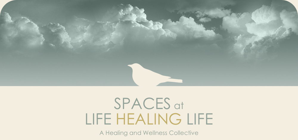 SpacesWeb_Cover2.jpg