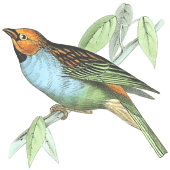 Acupuncture During IVF and Embryo Transfers LIFE HEALING LIFE