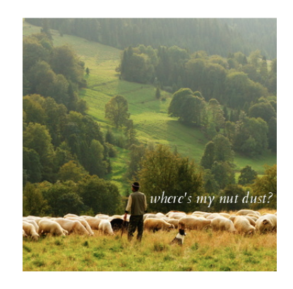 Nut dust