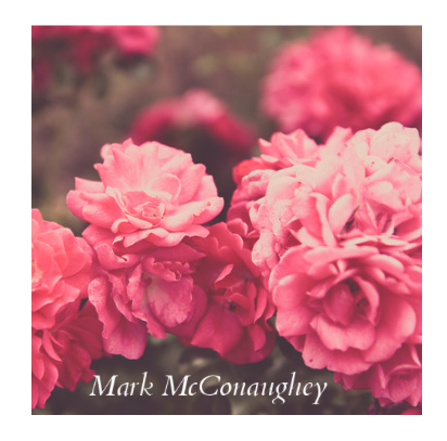 Mark