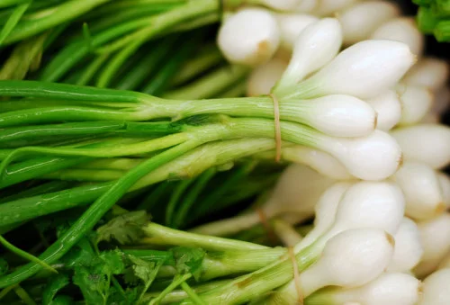 scallions
