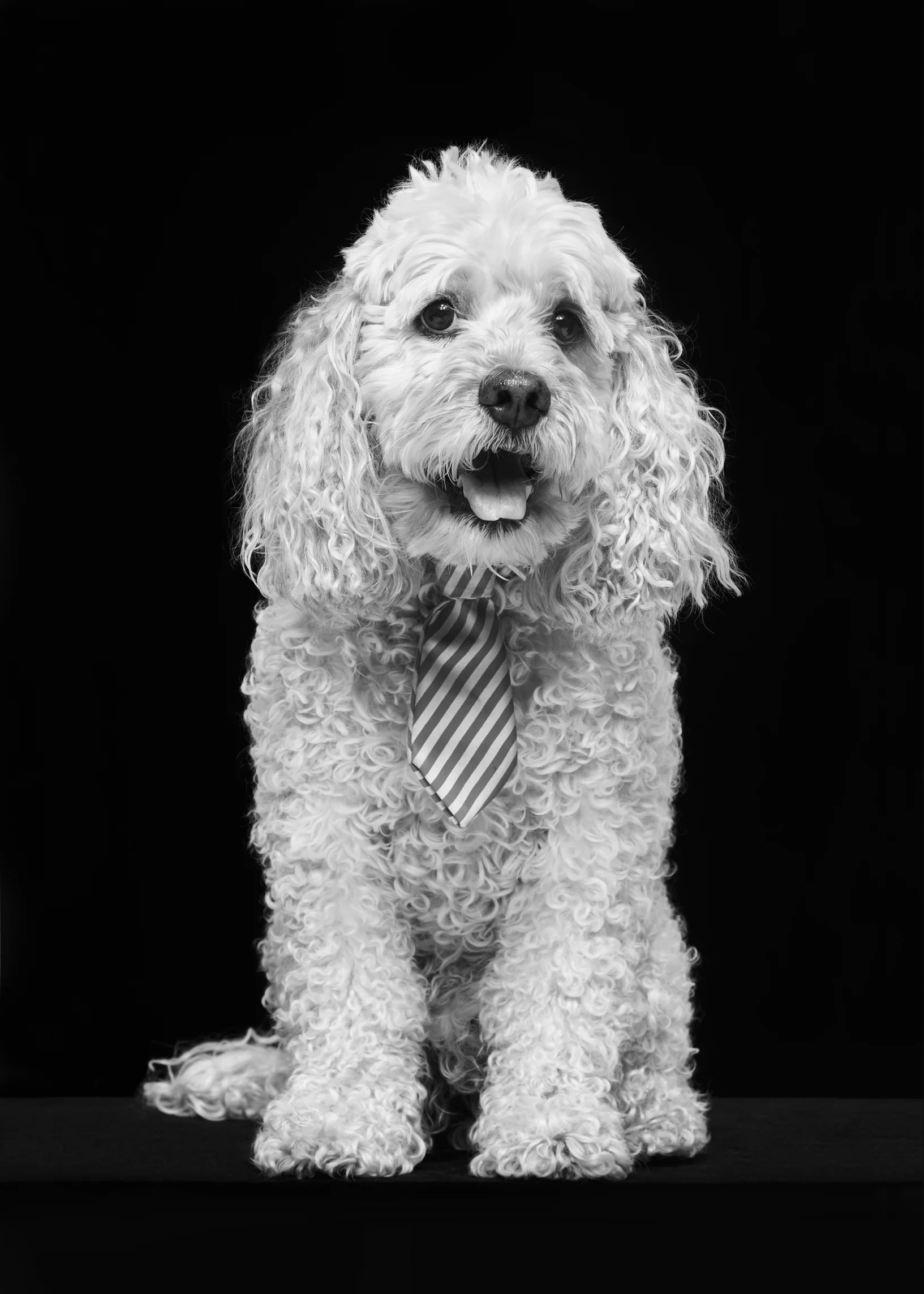 COOPER CEO