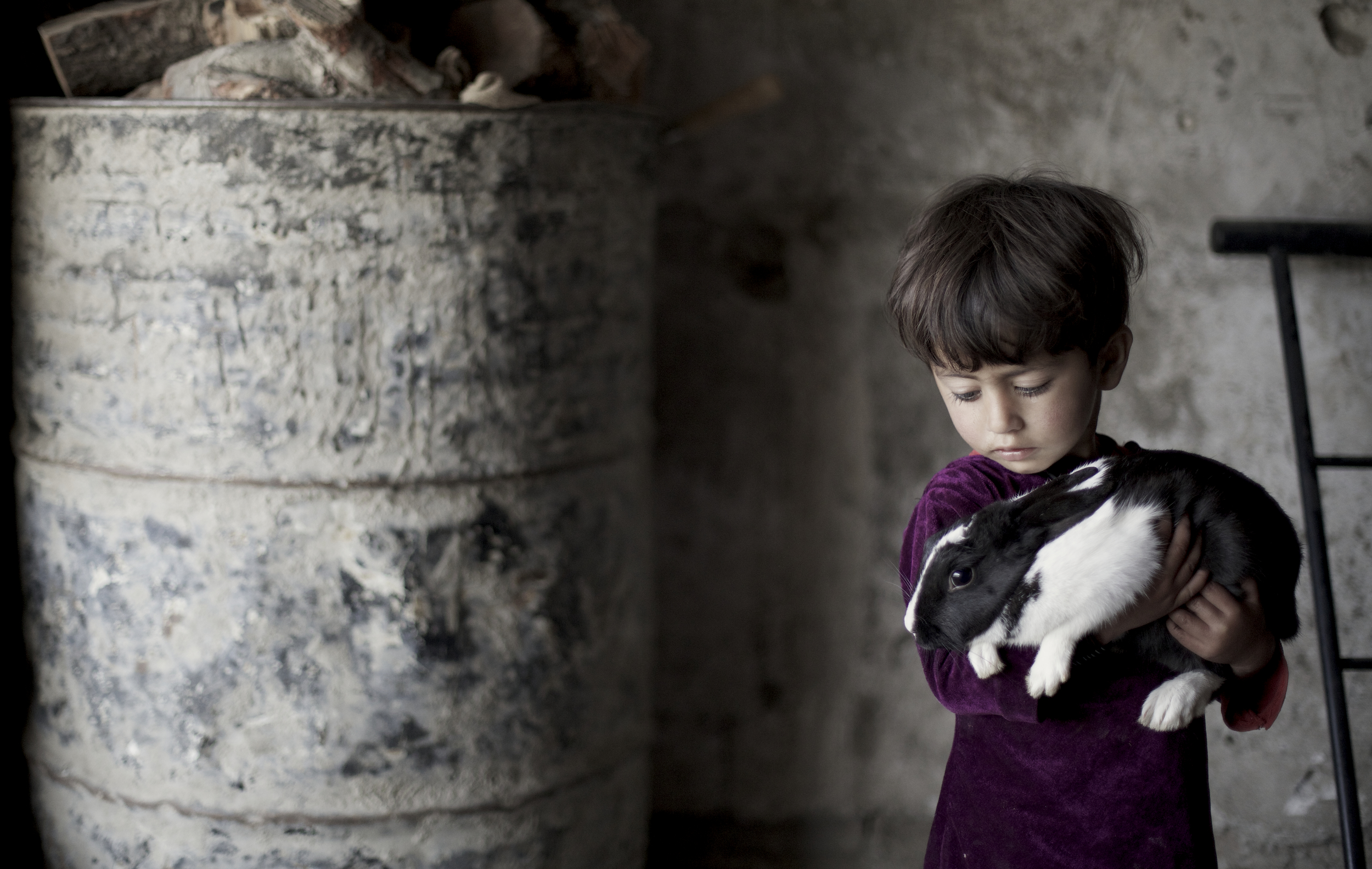 A young Afghan girl holds her pet rabbit in her bombed out home in Kabul