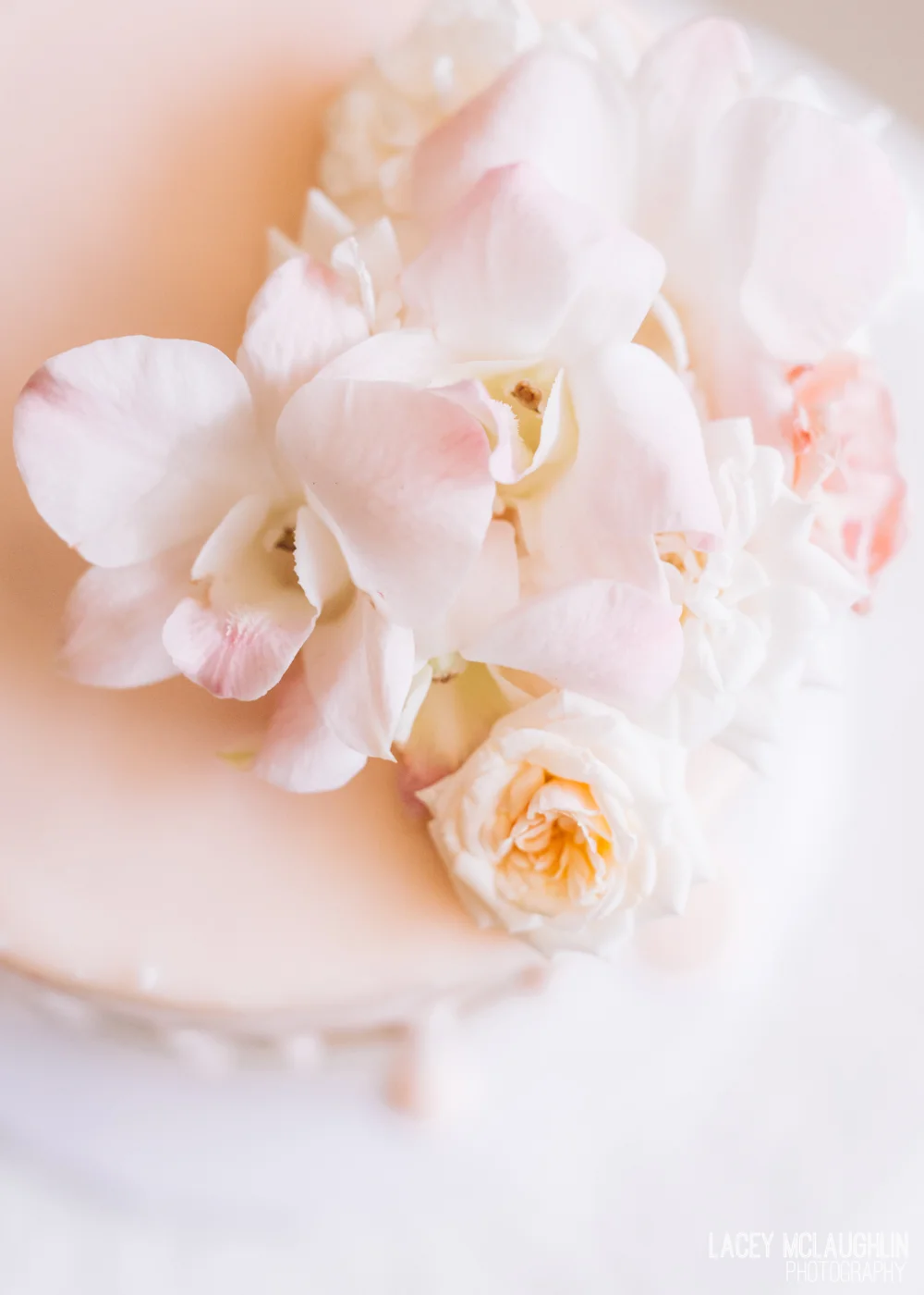 BlogLaceyMPhoto-8.jpg