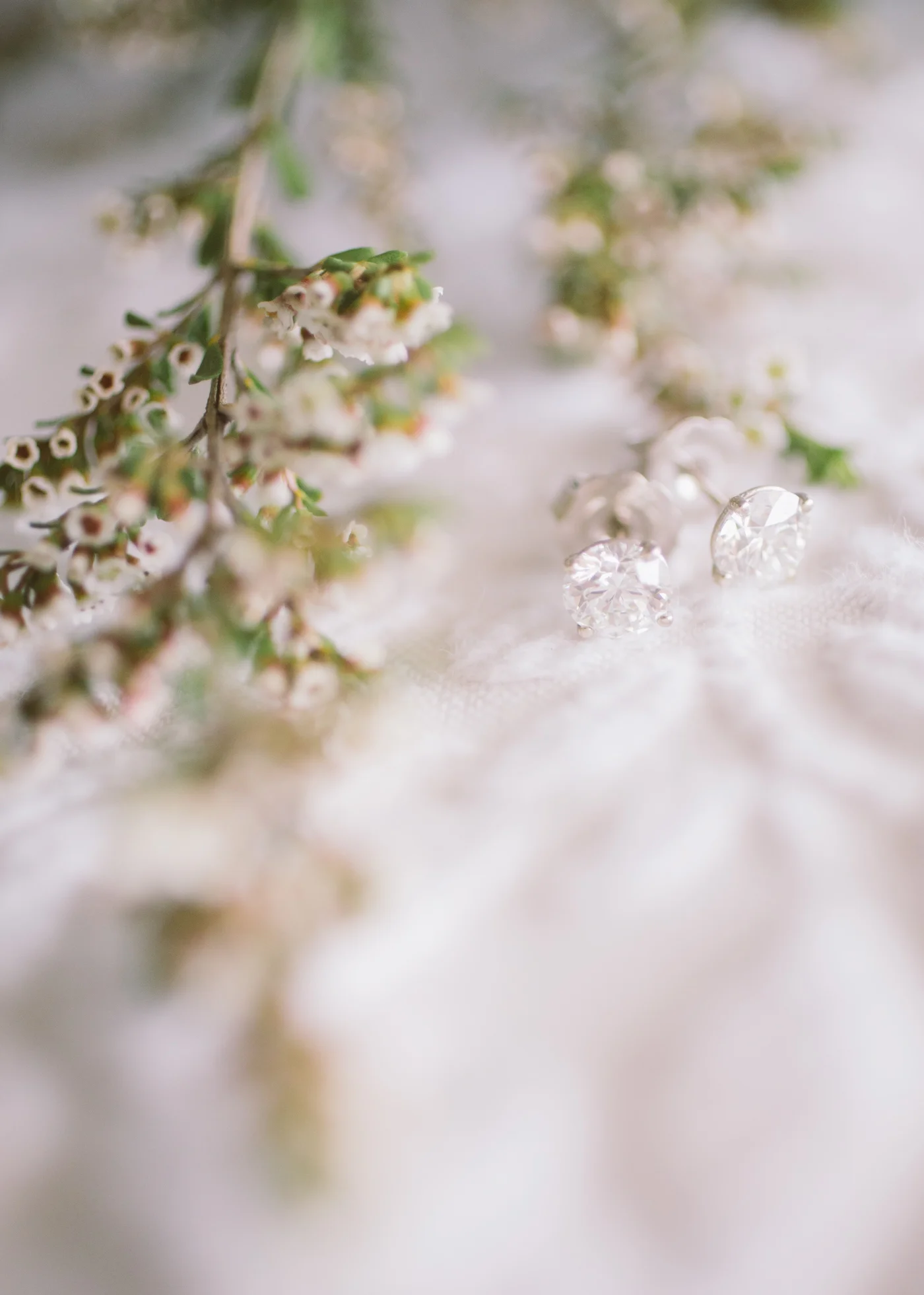 GWSLaceyMcLaughlinPhoto-19.jpg