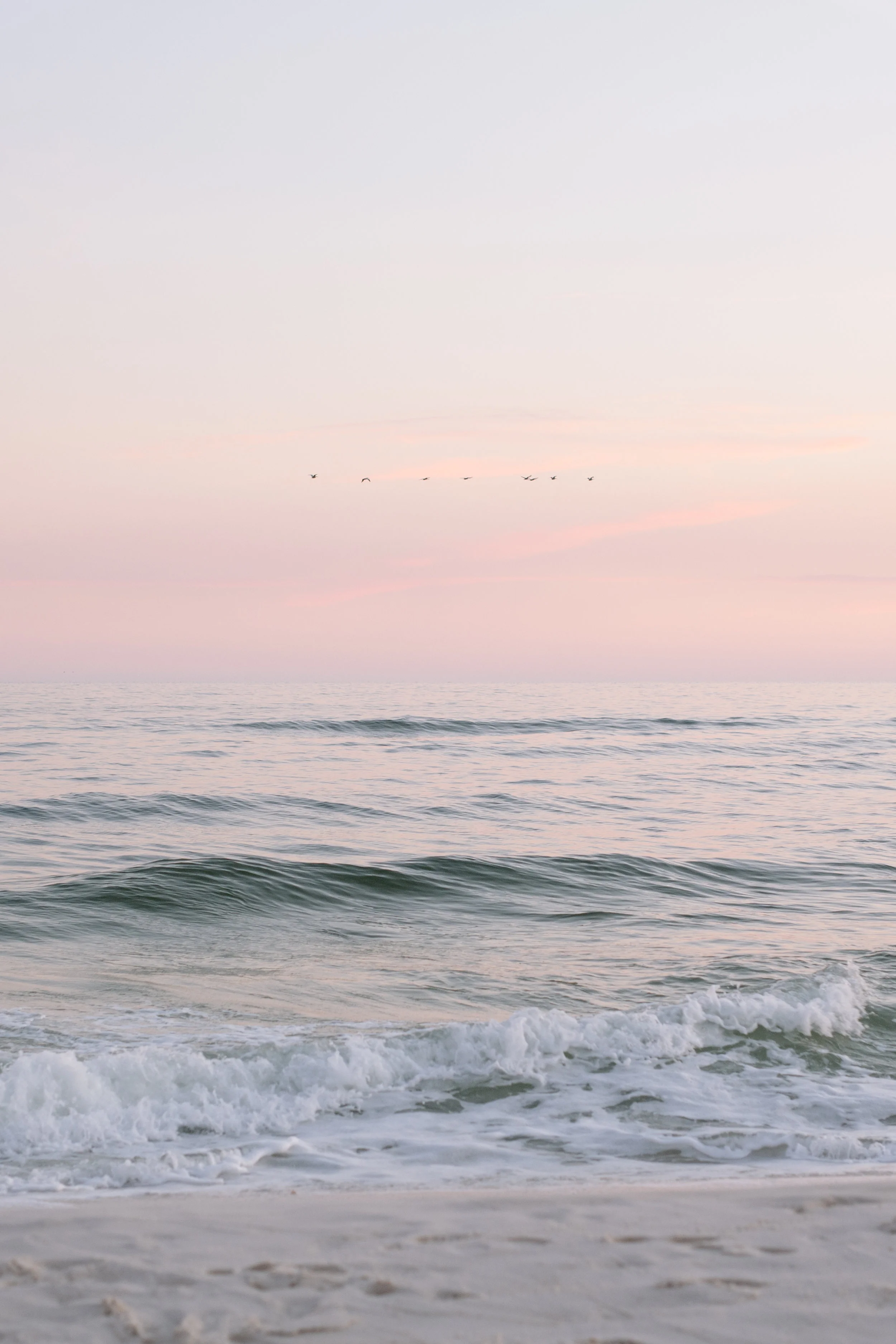 LaceyMcLaughlinPhoto-1.jpg