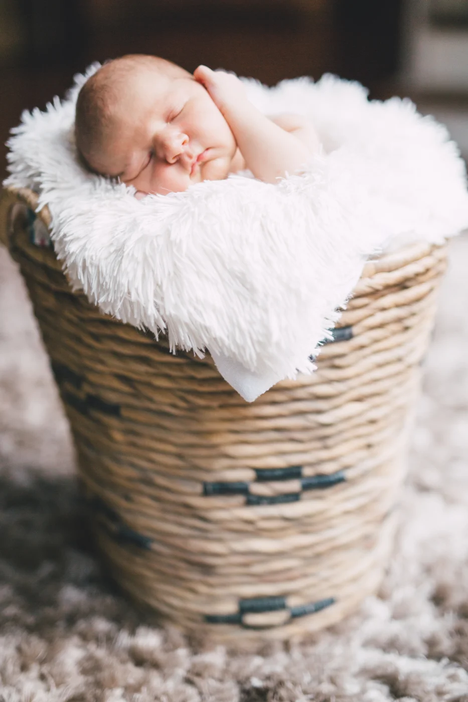 LaceyMcLaughlinPhoto-5.jpg