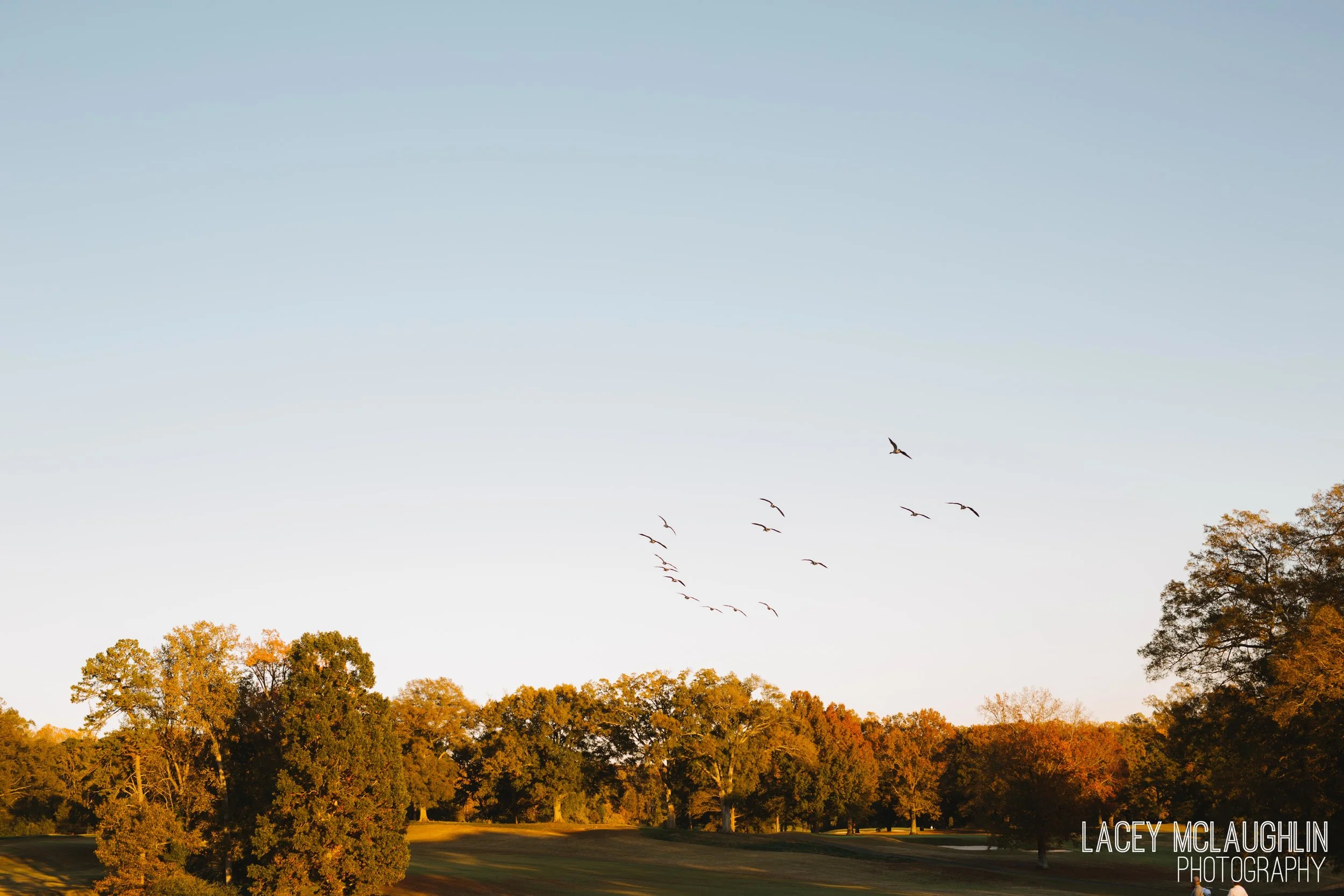 LaceyMcLaughlinPhoto-14.jpg
