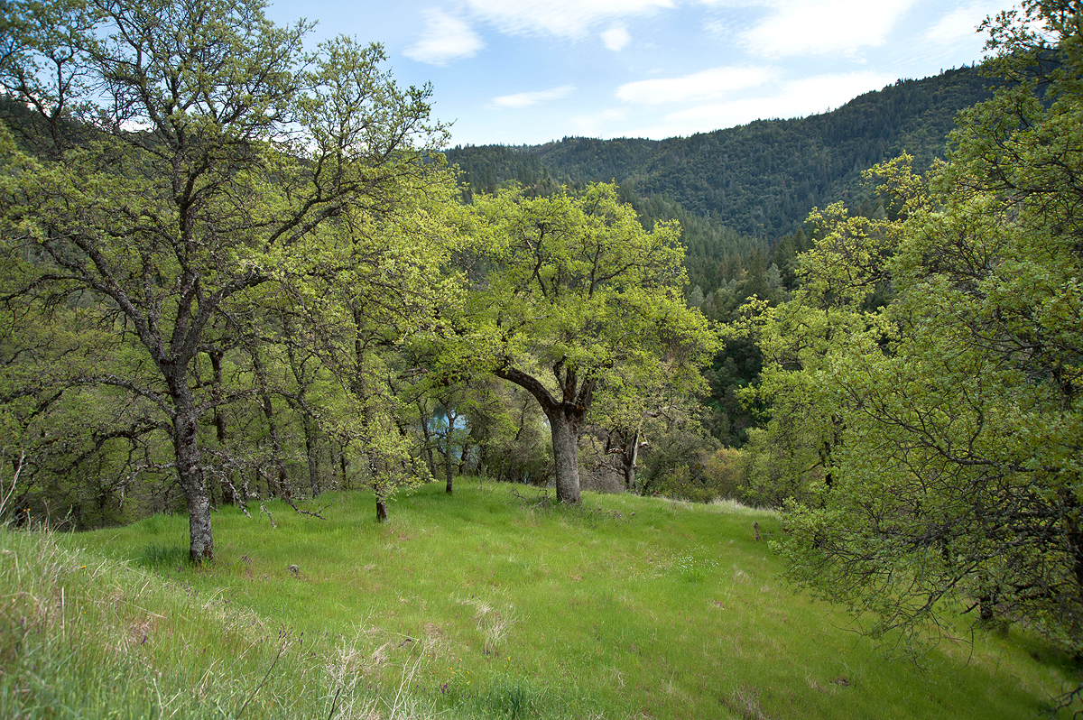 south fork landscape