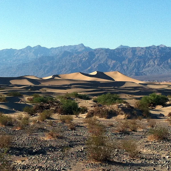 dunes