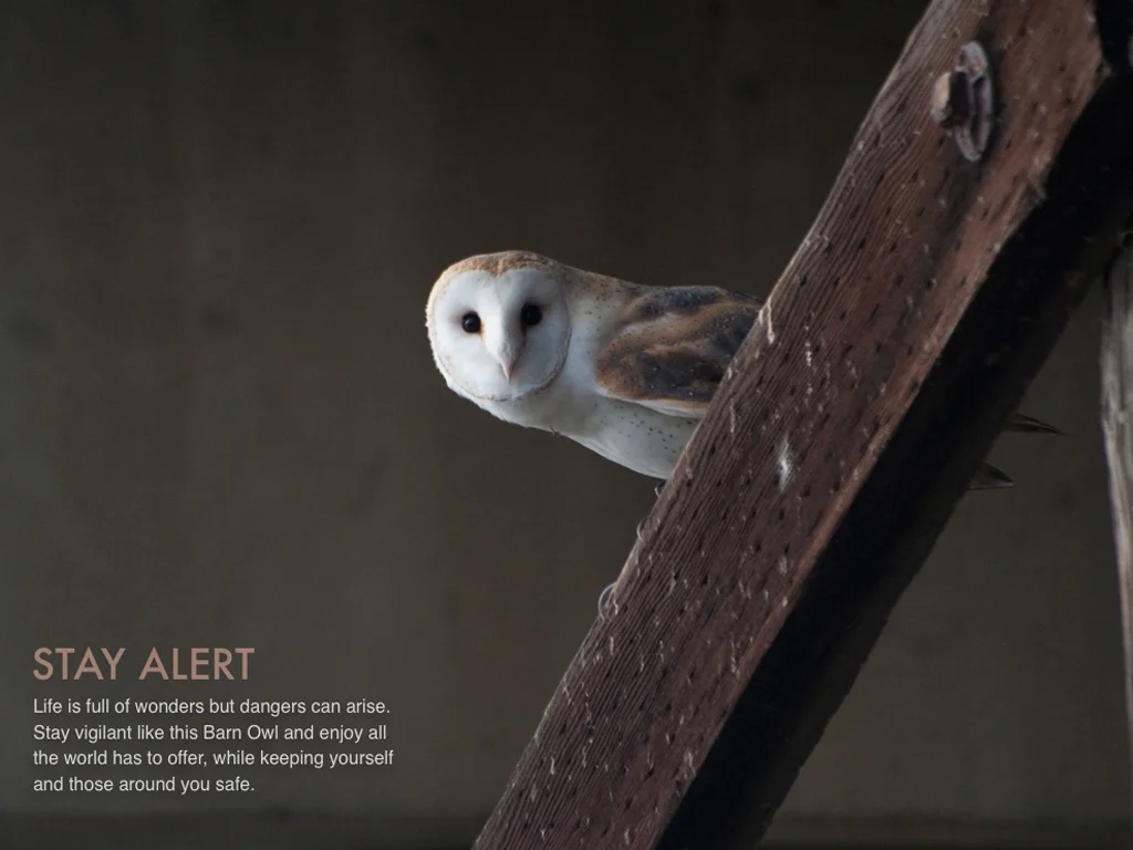 screenshot4.jpg
