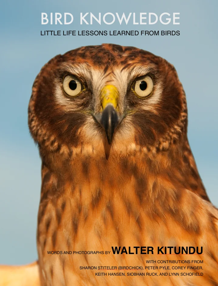 Bird Knowledge Cover.jpg