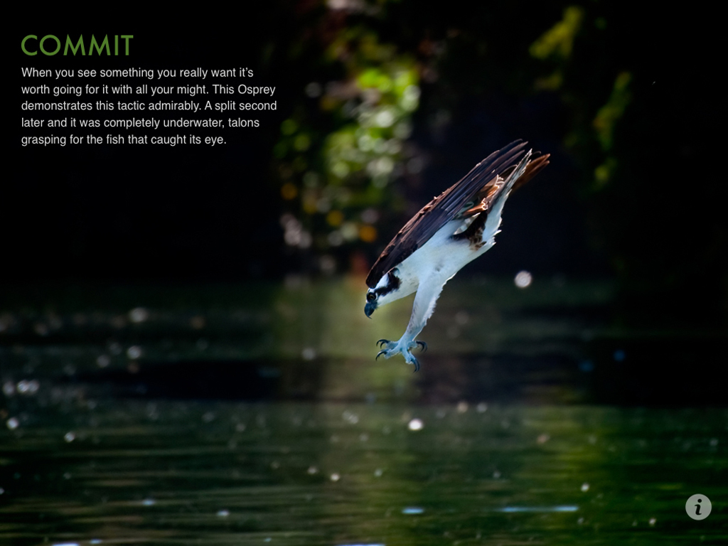 screenshot3.jpg