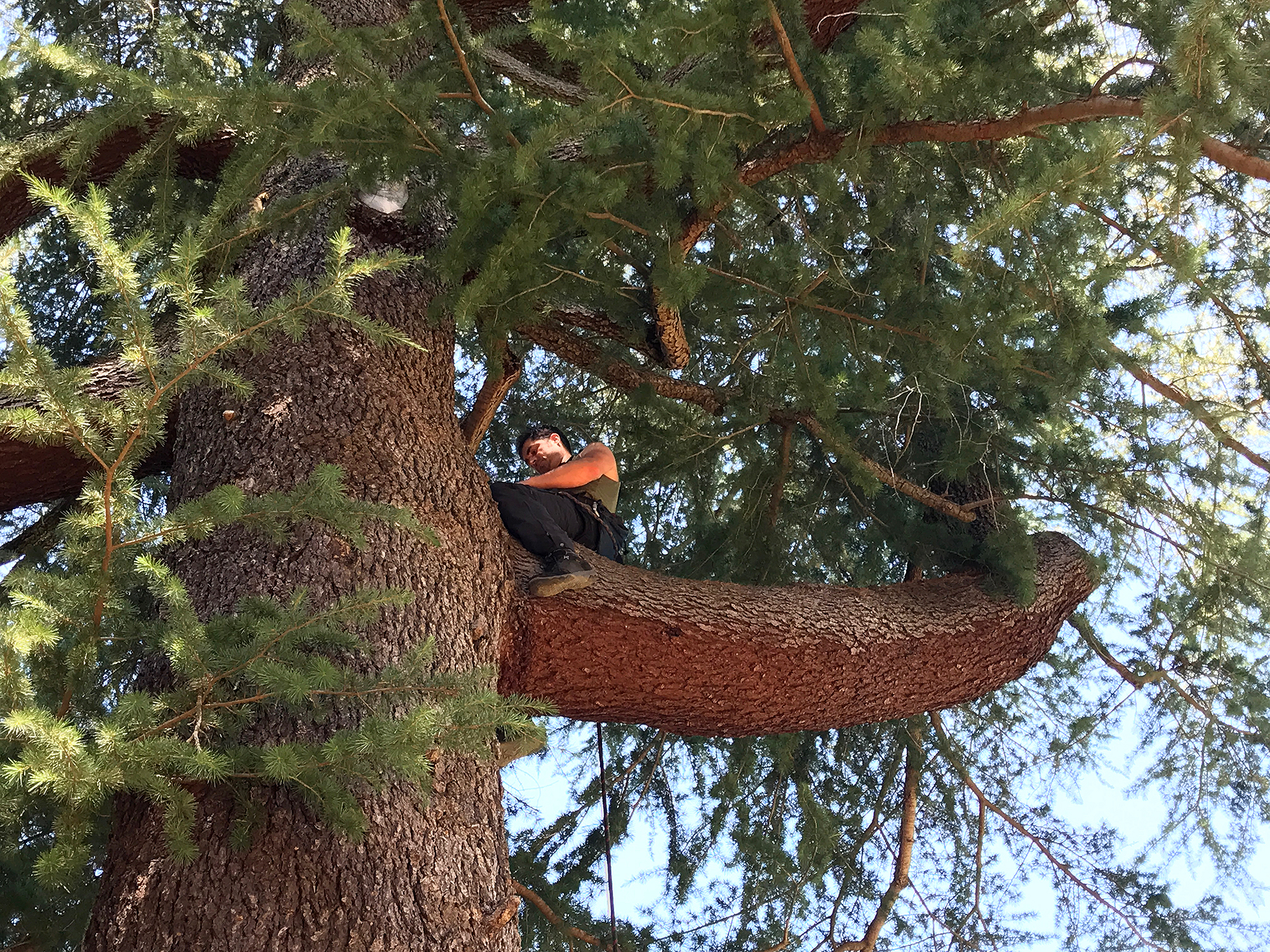 preparing to hang the bell ringer