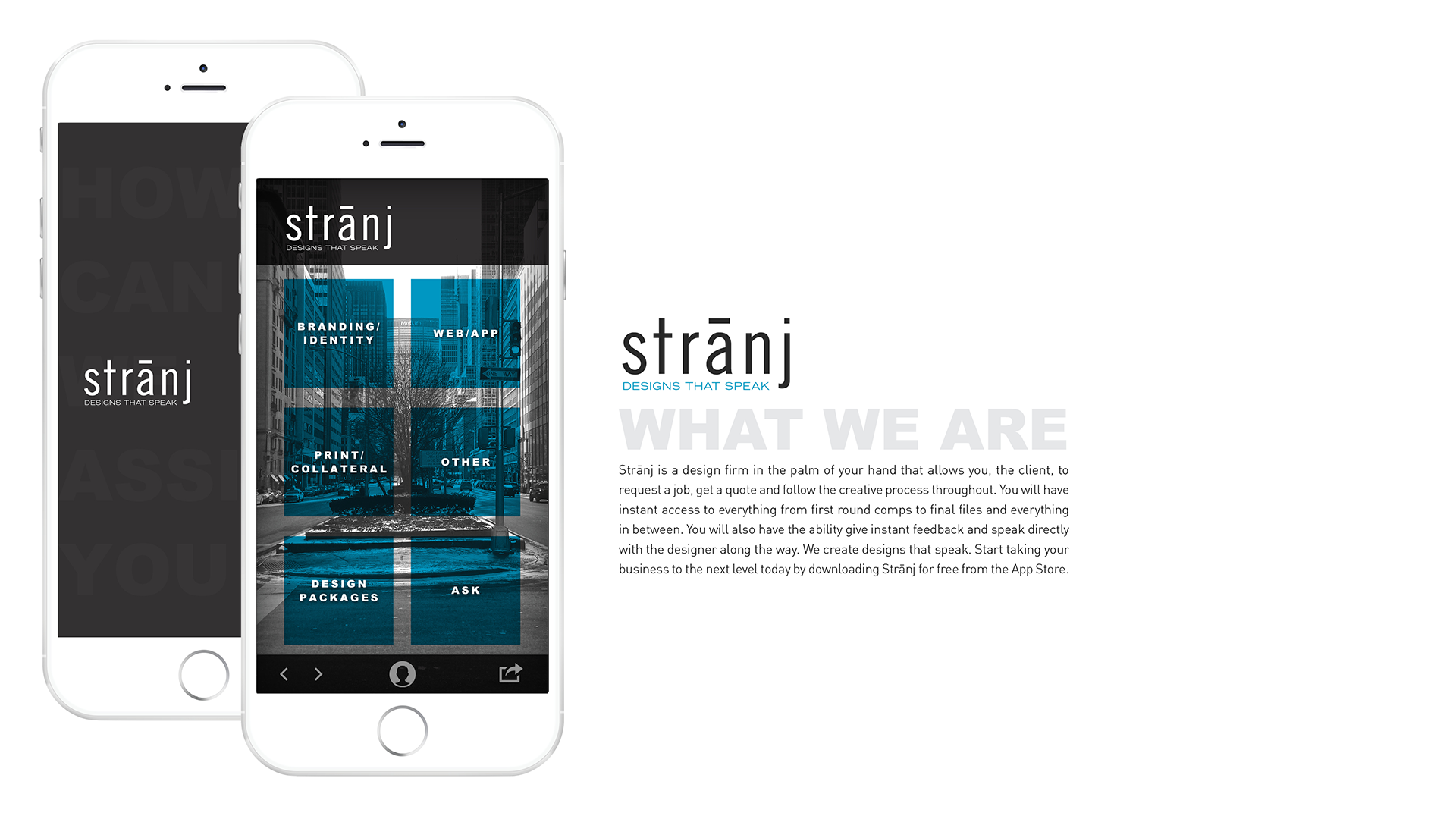 Stranj-1.png