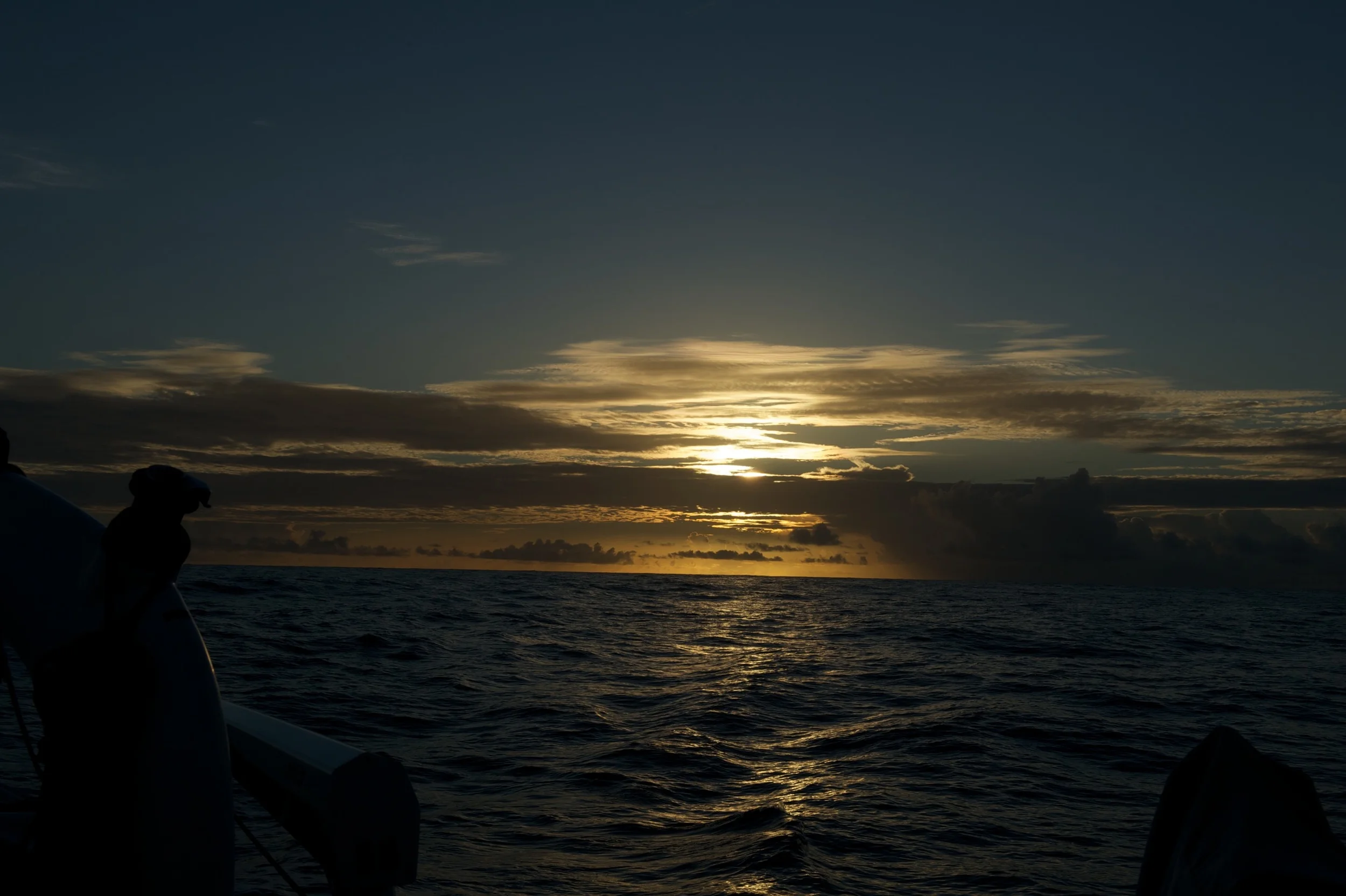_HD04008.jpg
